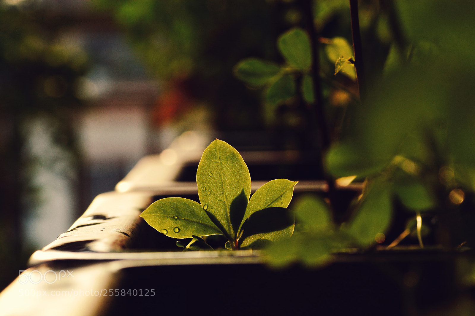 Nikon D7100 sample photo. Untitled photography