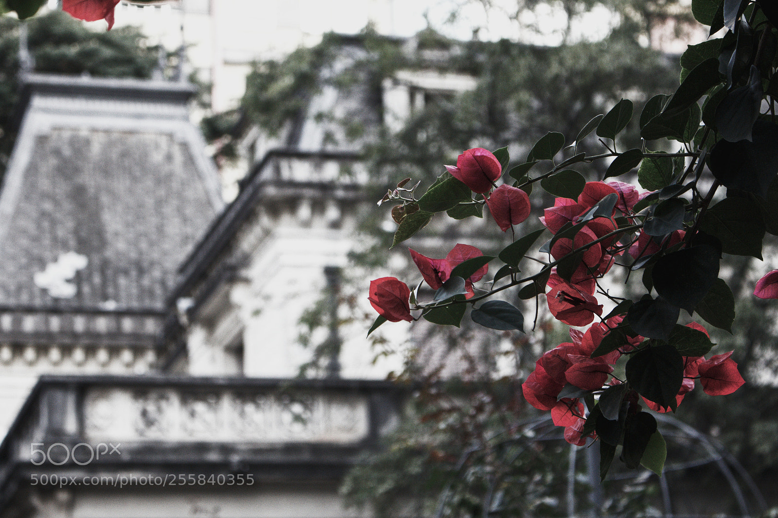 Canon EOS 700D (EOS Rebel T5i / EOS Kiss X7i) sample photo. Untitled photography
