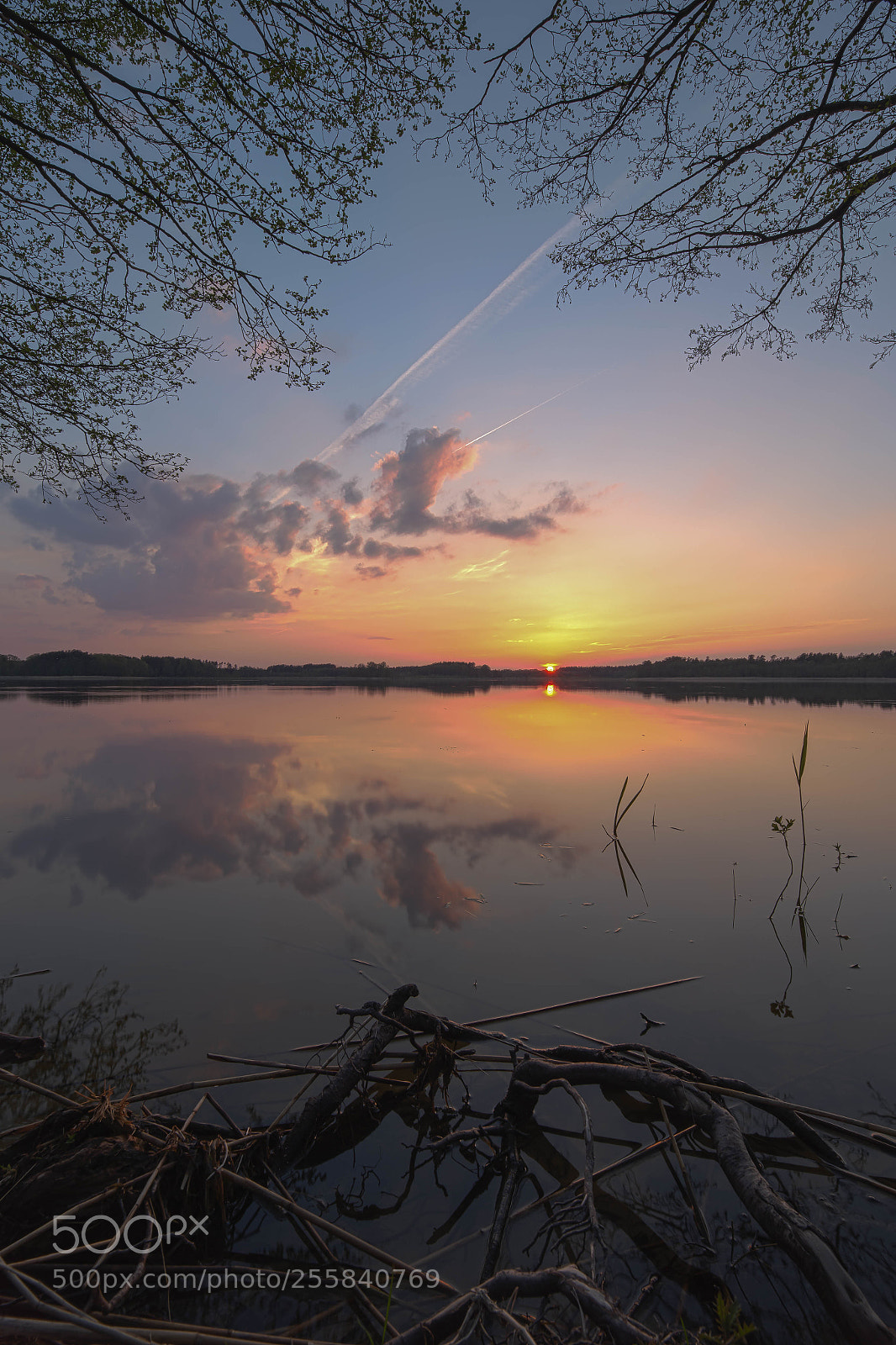 Canon EOS 6D sample photo. Sasek maly photography