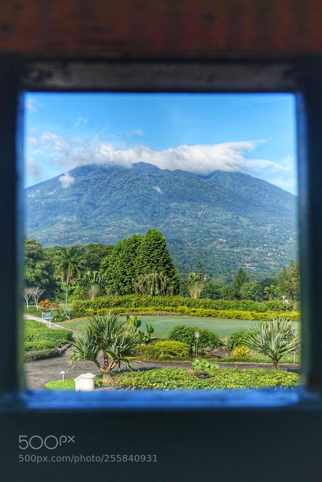 Sony Alpha a5000 (ILCE 5000) sample photo. Square framed scenery photography