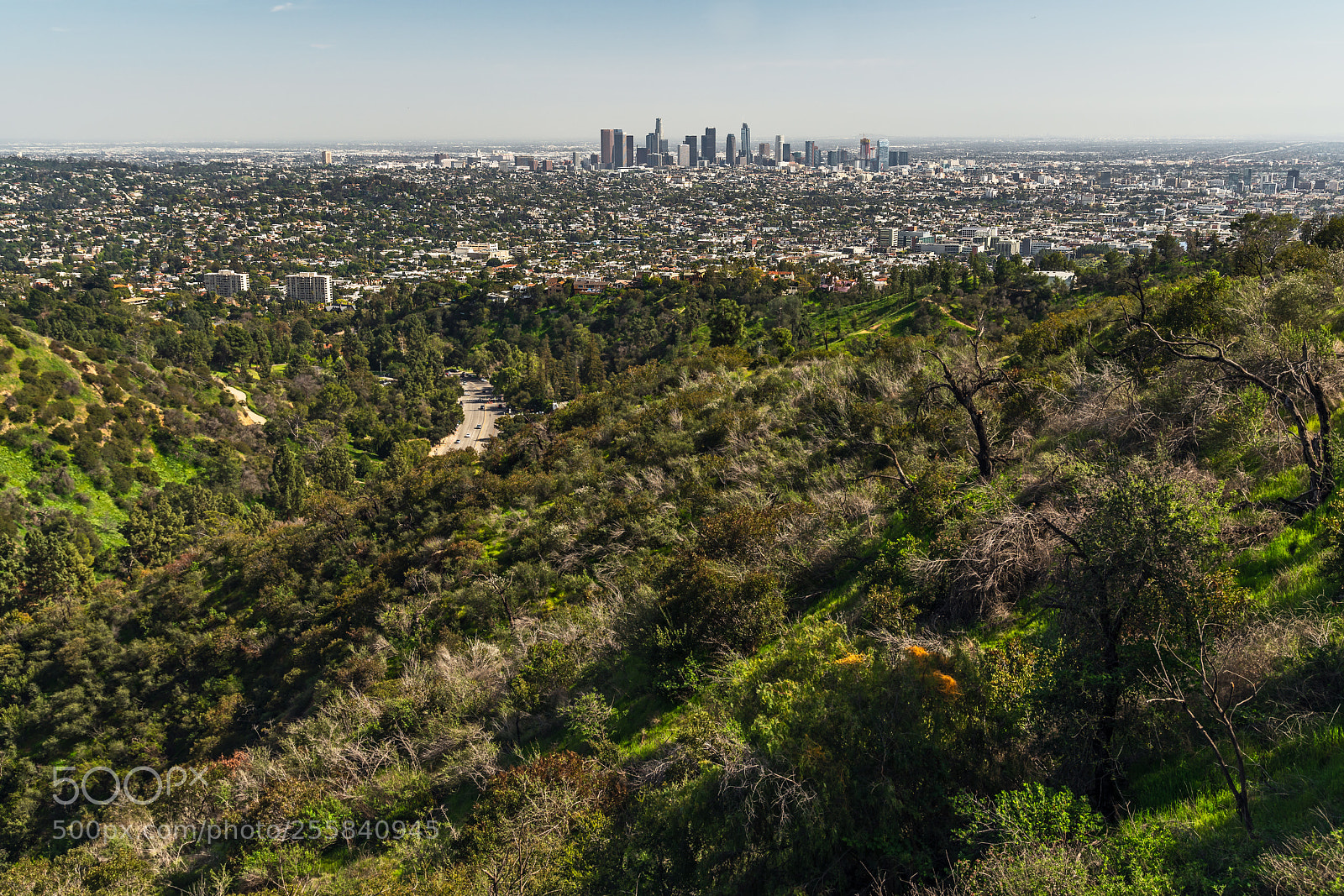 Sony a7R III sample photo. Los angeles photography