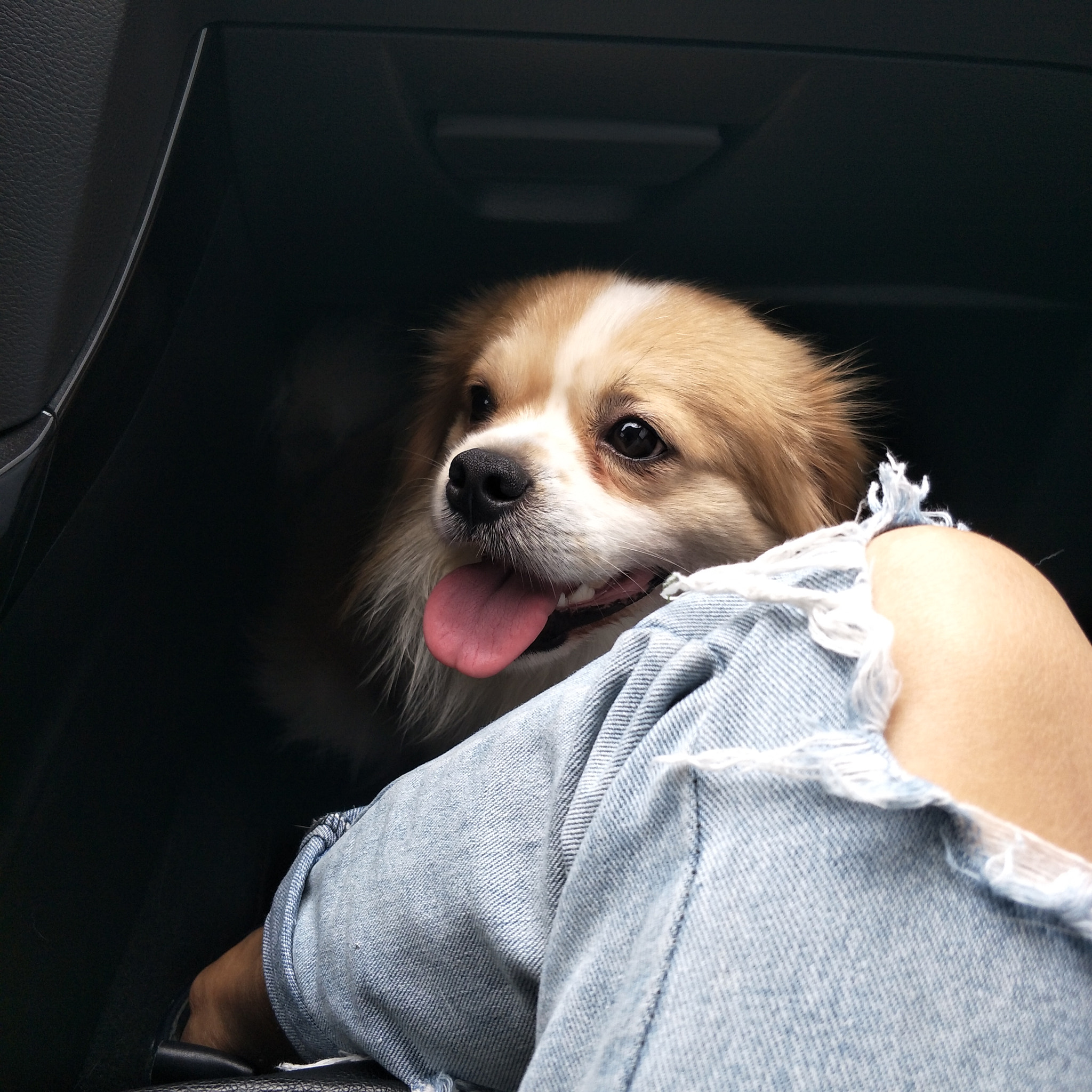 OPPO R9S sample photo