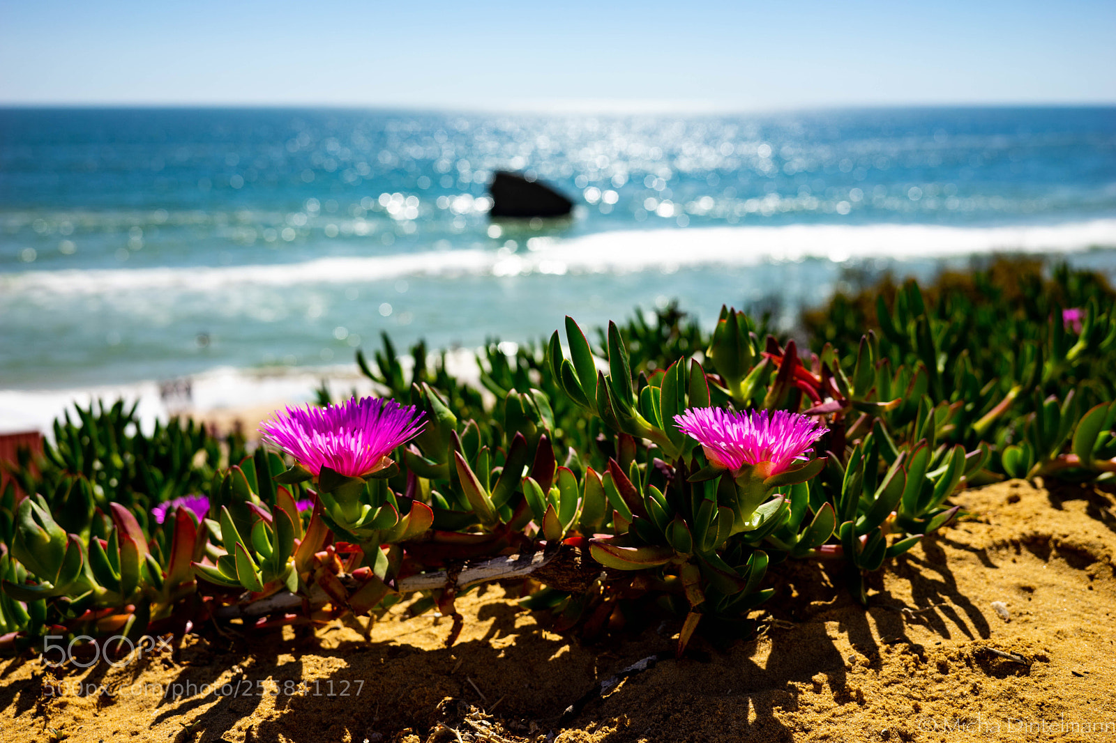 Sony a7 II sample photo. Playa de matalascañas photography