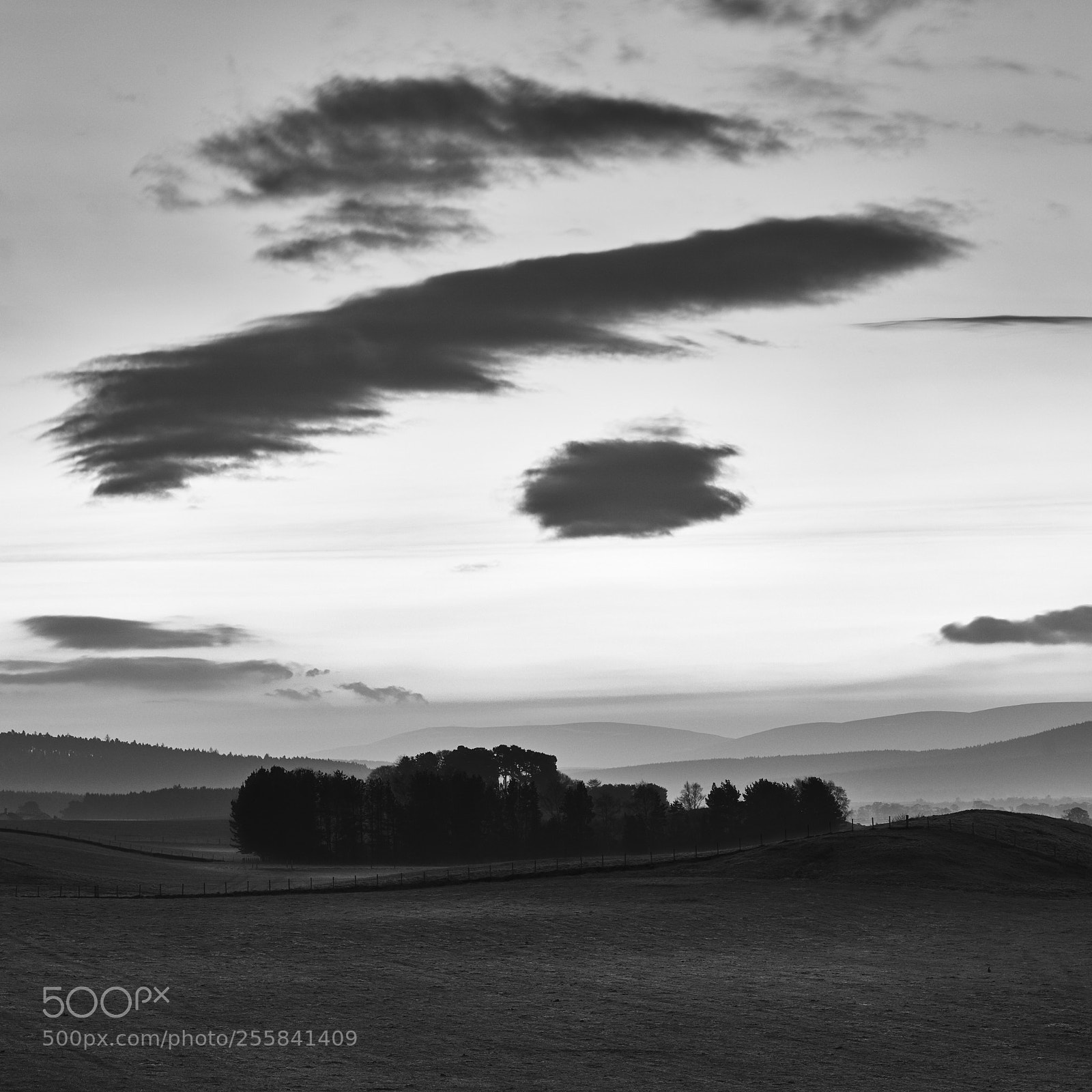 Canon EOS 5DS R sample photo. Drawing dawn mono photography