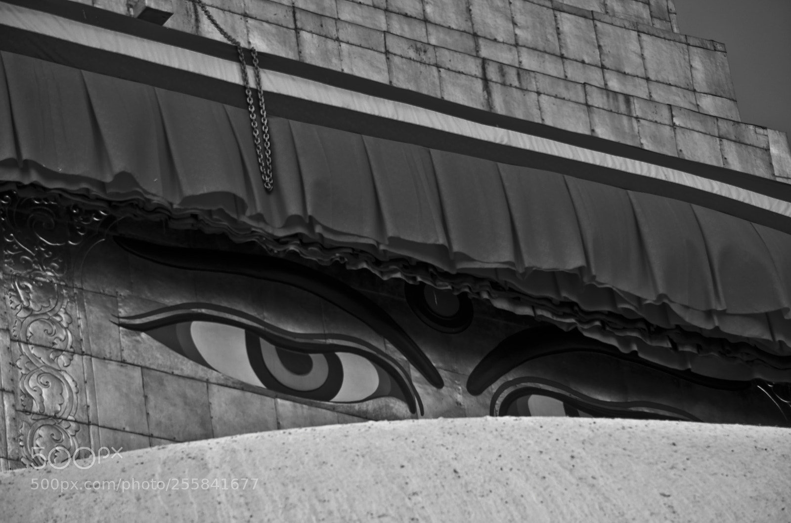 Nikon D7000 sample photo. Jpg photography