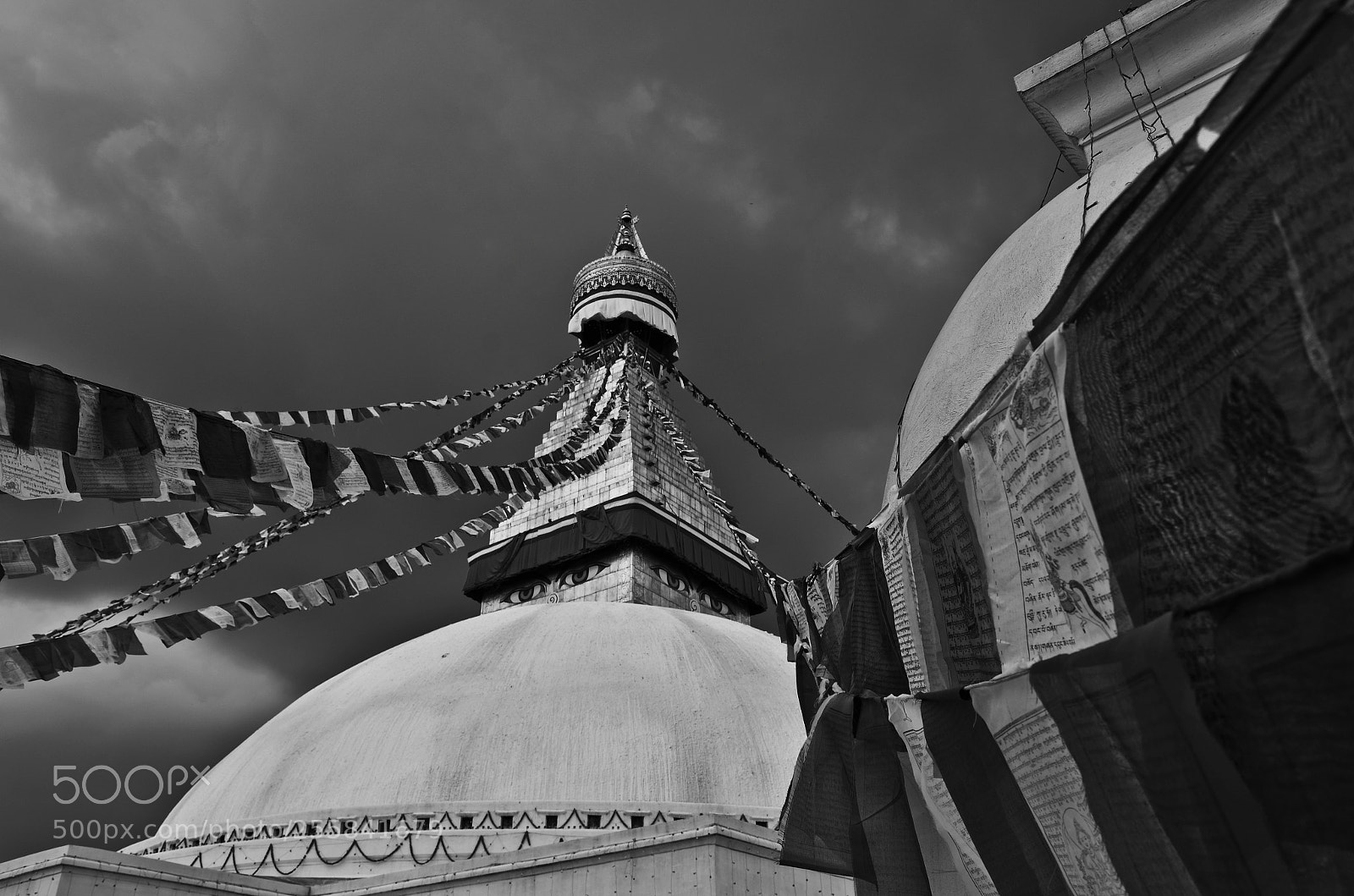 Nikon D7000 sample photo. Jpg photography