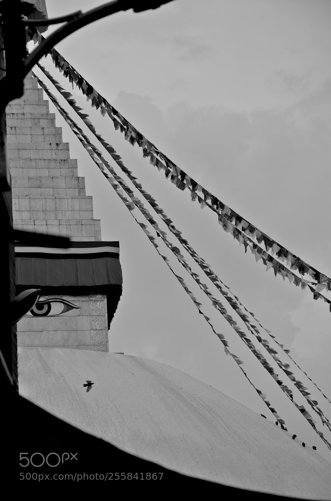 Nikon D7000 sample photo. Jpg photography