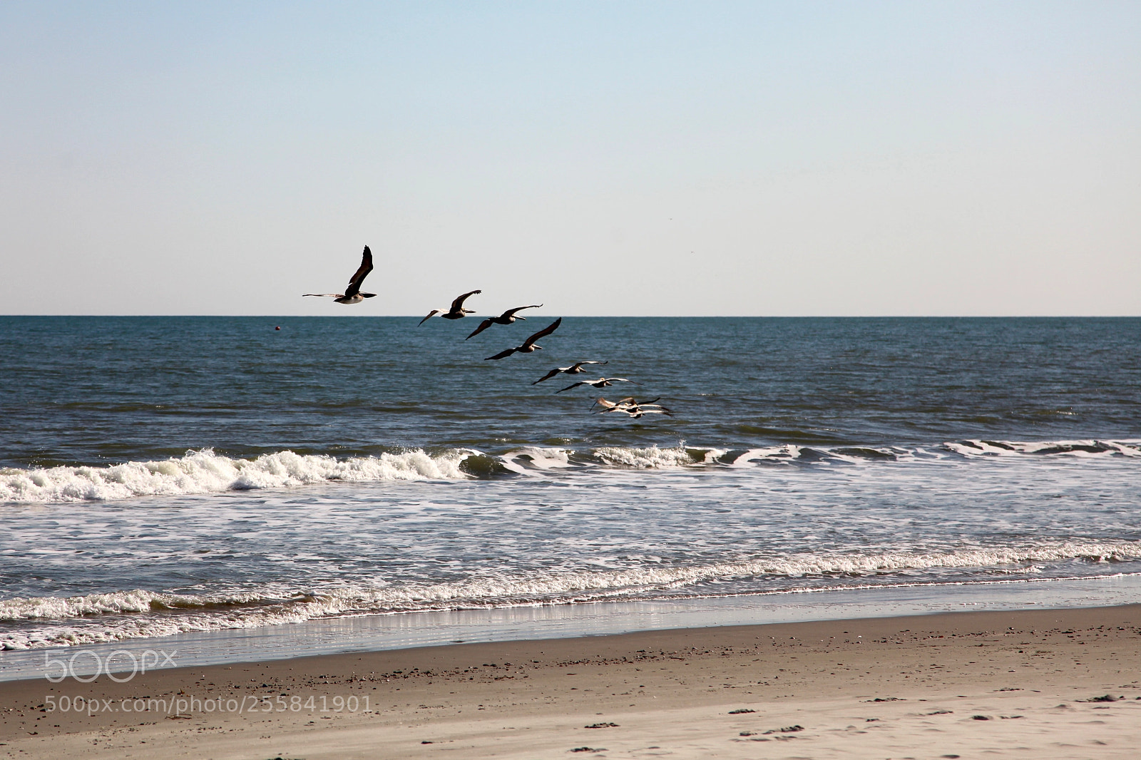 Canon EOS 5D Mark II sample photo. Lunch break photography