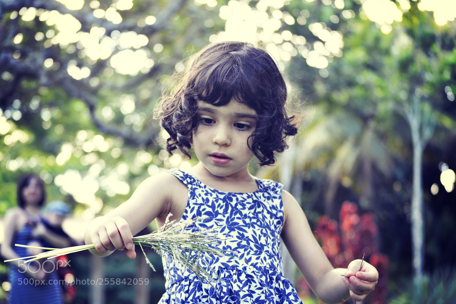Nikon D3100 sample photo. Love photo photography