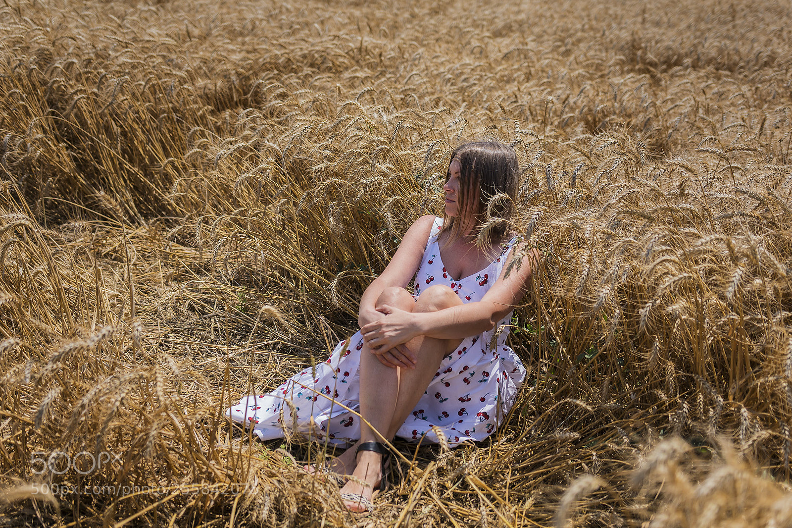 Sony ILCA-77M2 sample photo. Wheat photography