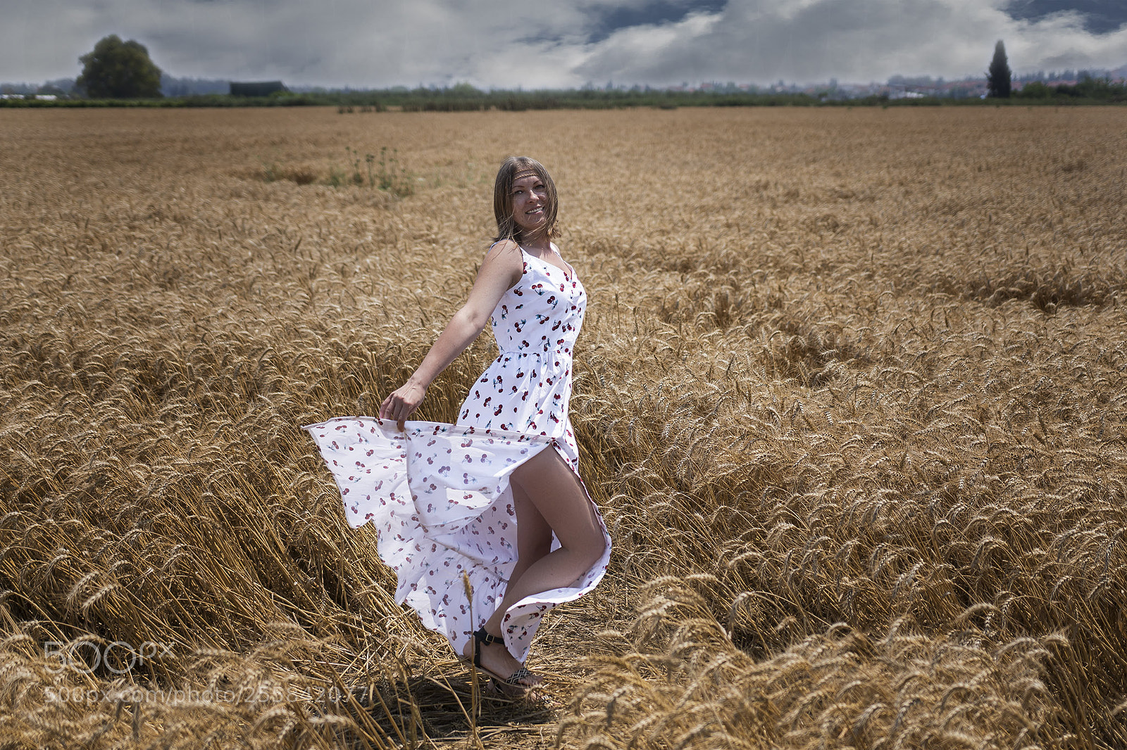 Sony ILCA-77M2 sample photo. Wheat photography