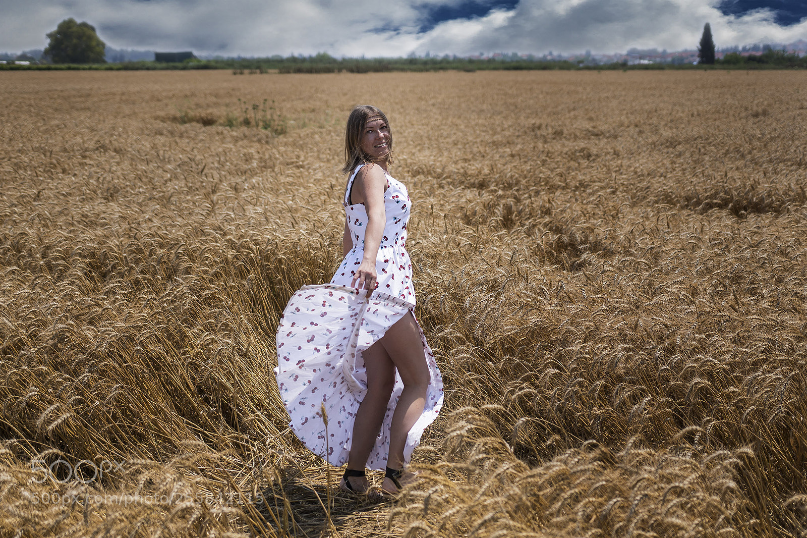 Sony ILCA-77M2 sample photo. Wheat photography