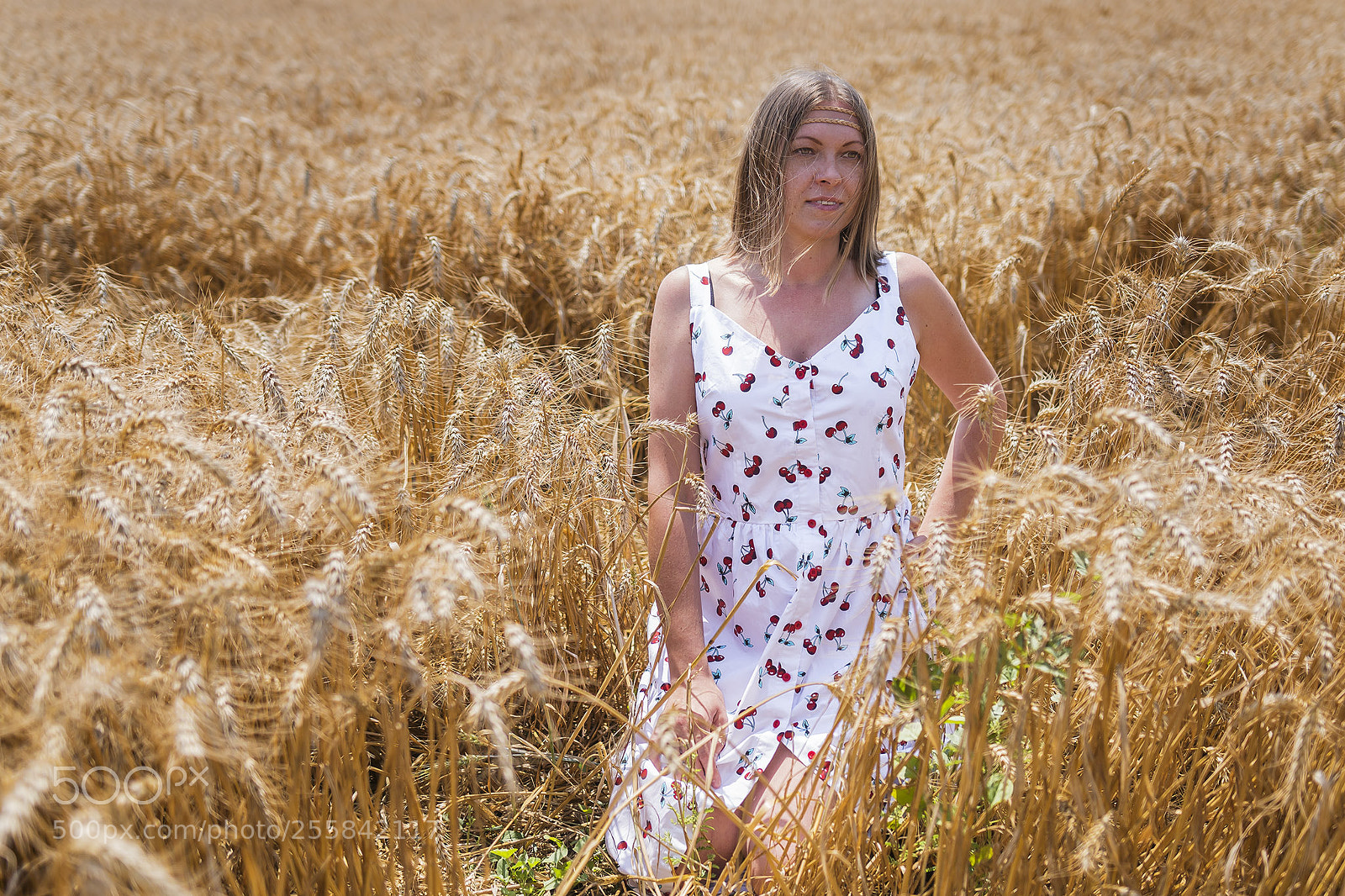 Sony ILCA-77M2 sample photo. Wheat photography