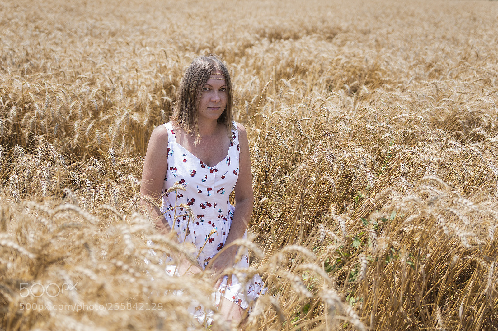 Sony ILCA-77M2 sample photo. Wheat photography