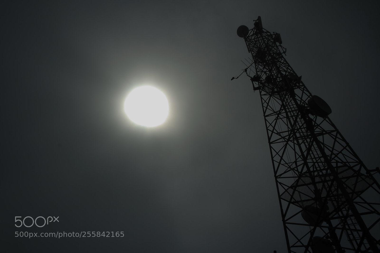 Samsung NX3000 sample photo. Untitled photography