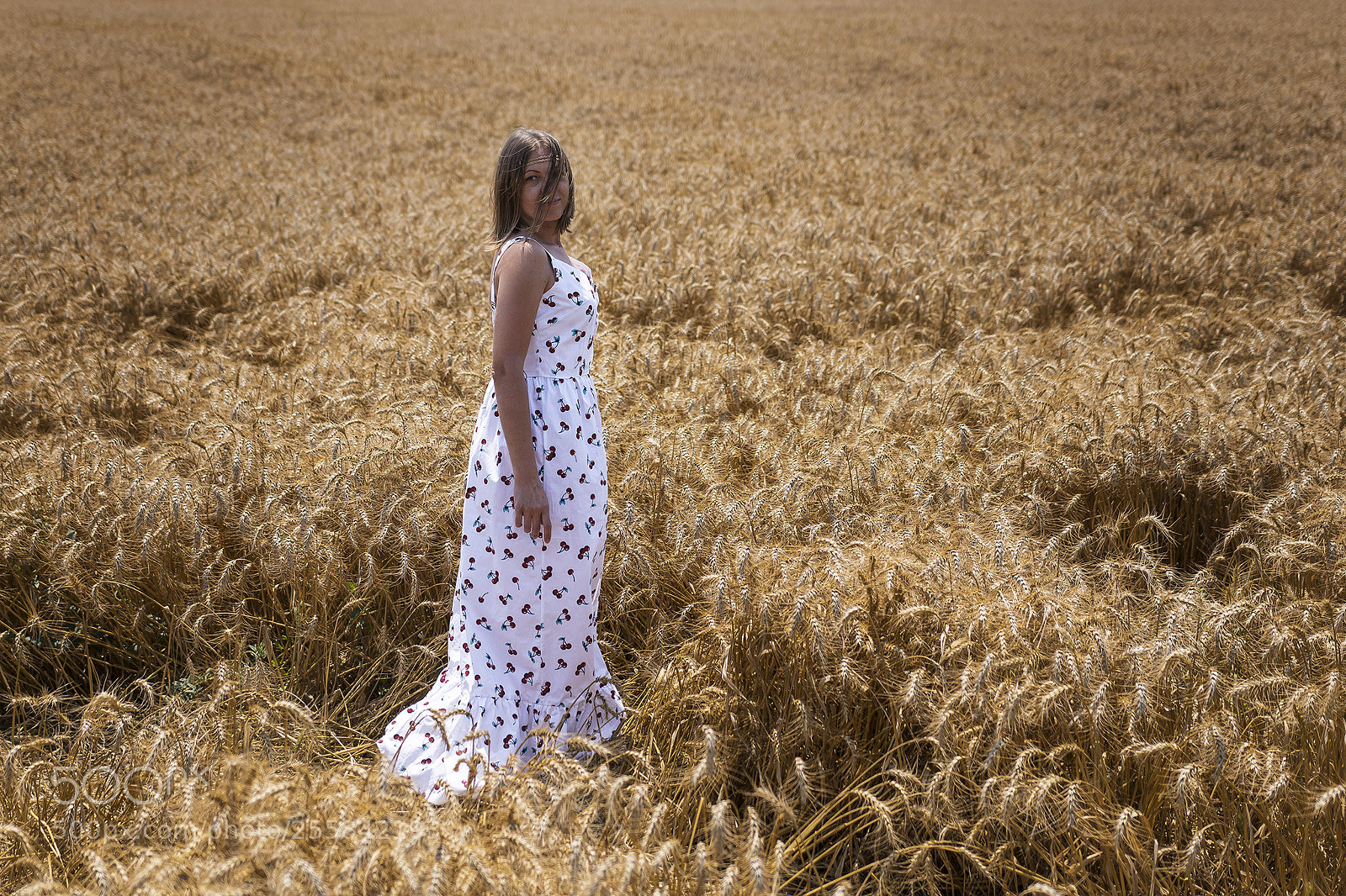 Sony ILCA-77M2 sample photo. Wheat photography
