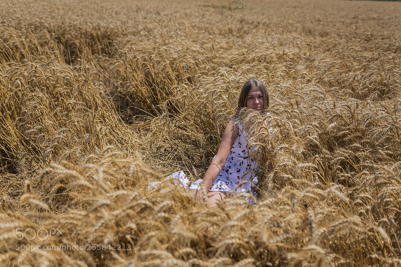 Sony ILCA-77M2 sample photo. Wheat photography