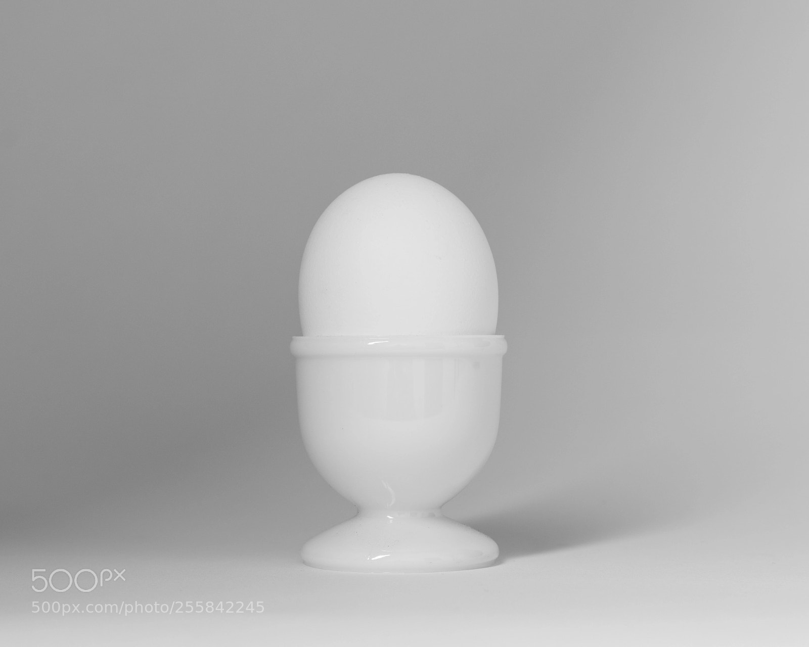 Canon EOS 77D (EOS 9000D / EOS 770D) sample photo. The egg photography