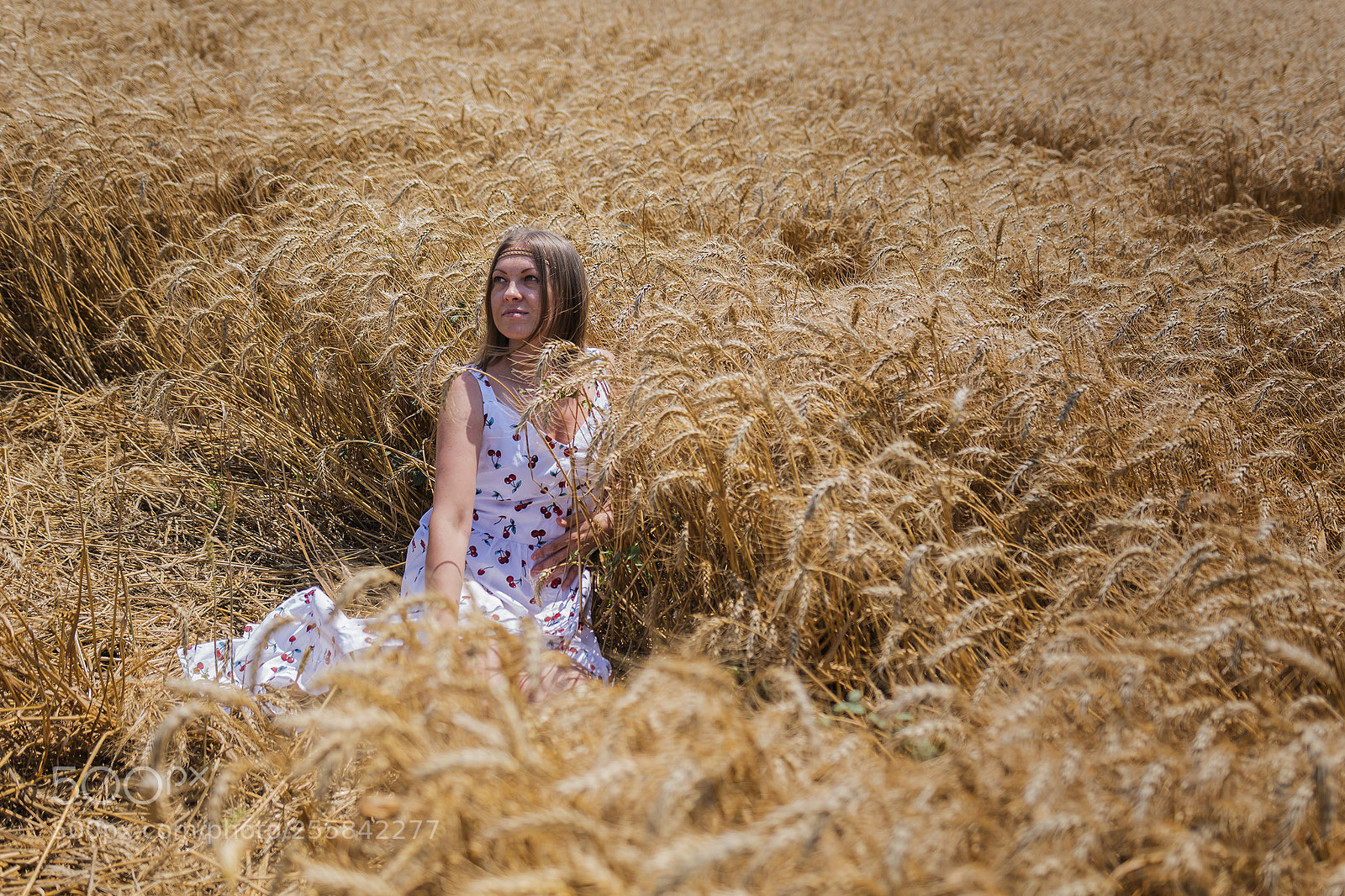 Sony ILCA-77M2 sample photo. Wheat photography