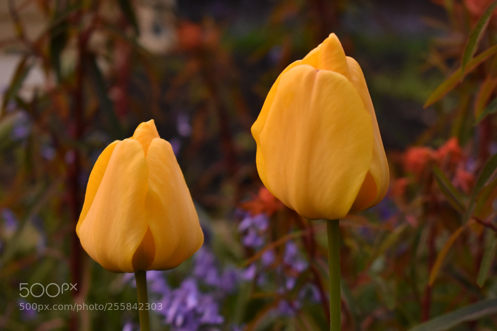 Nikon D3400 sample photo. Day one photography
