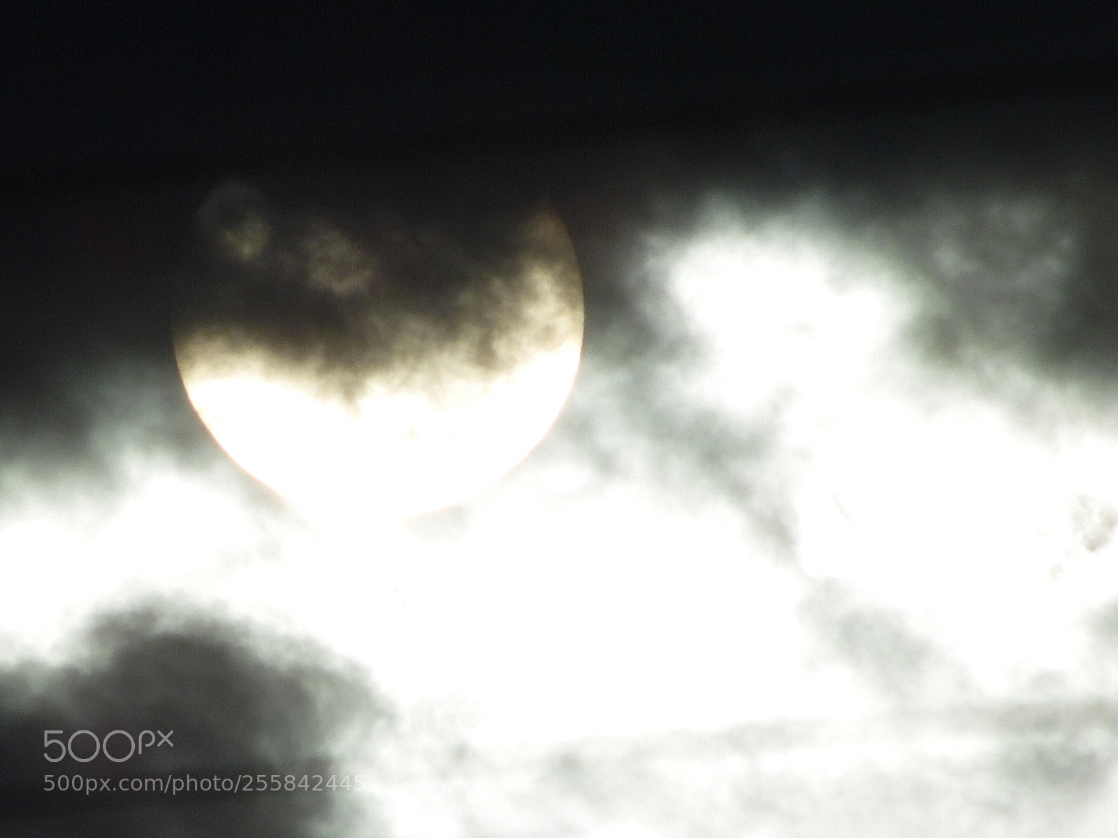 Samsung WB1100F/WB1101F/WB1102F sample photo. Untitled photography
