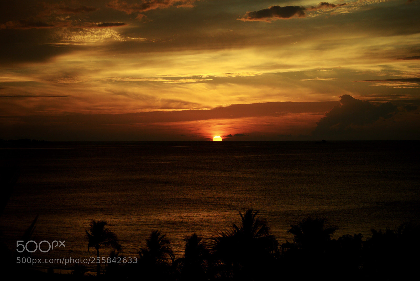 Nikon D3000 sample photo. Postcard sunset photography