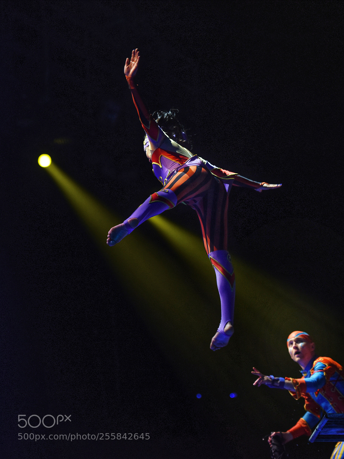 Nikon D810 sample photo. Chimelong circus photography