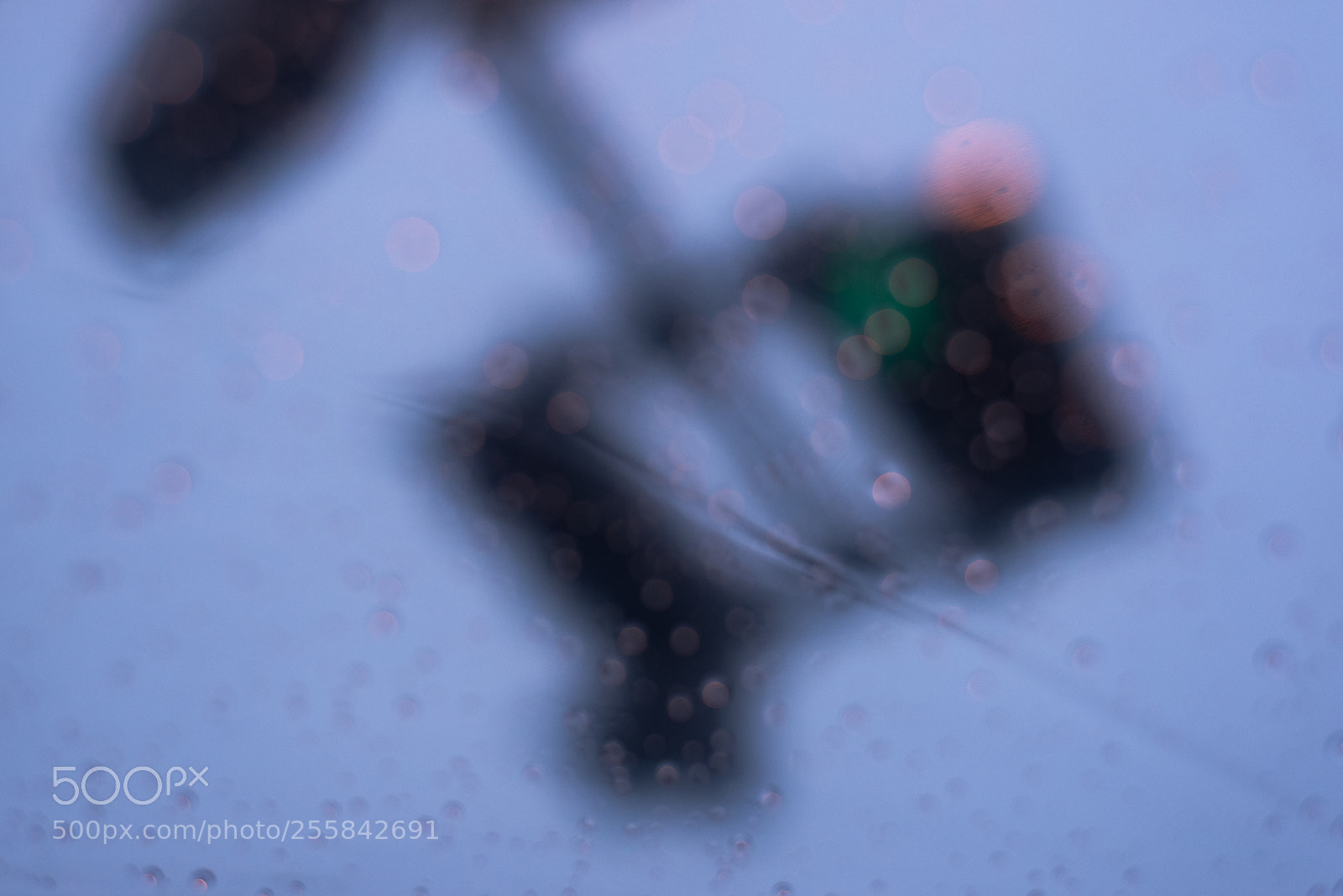 Nikon D810 sample photo. From the umbrera 1 photography