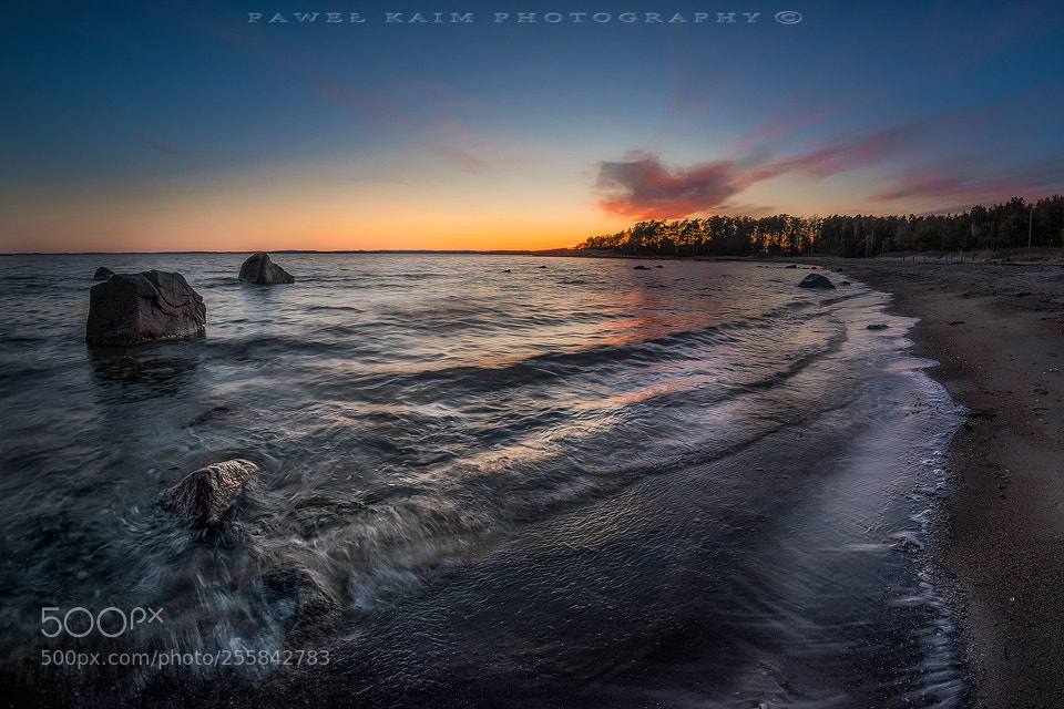 Nikon D5500 sample photo. Blue hour photography