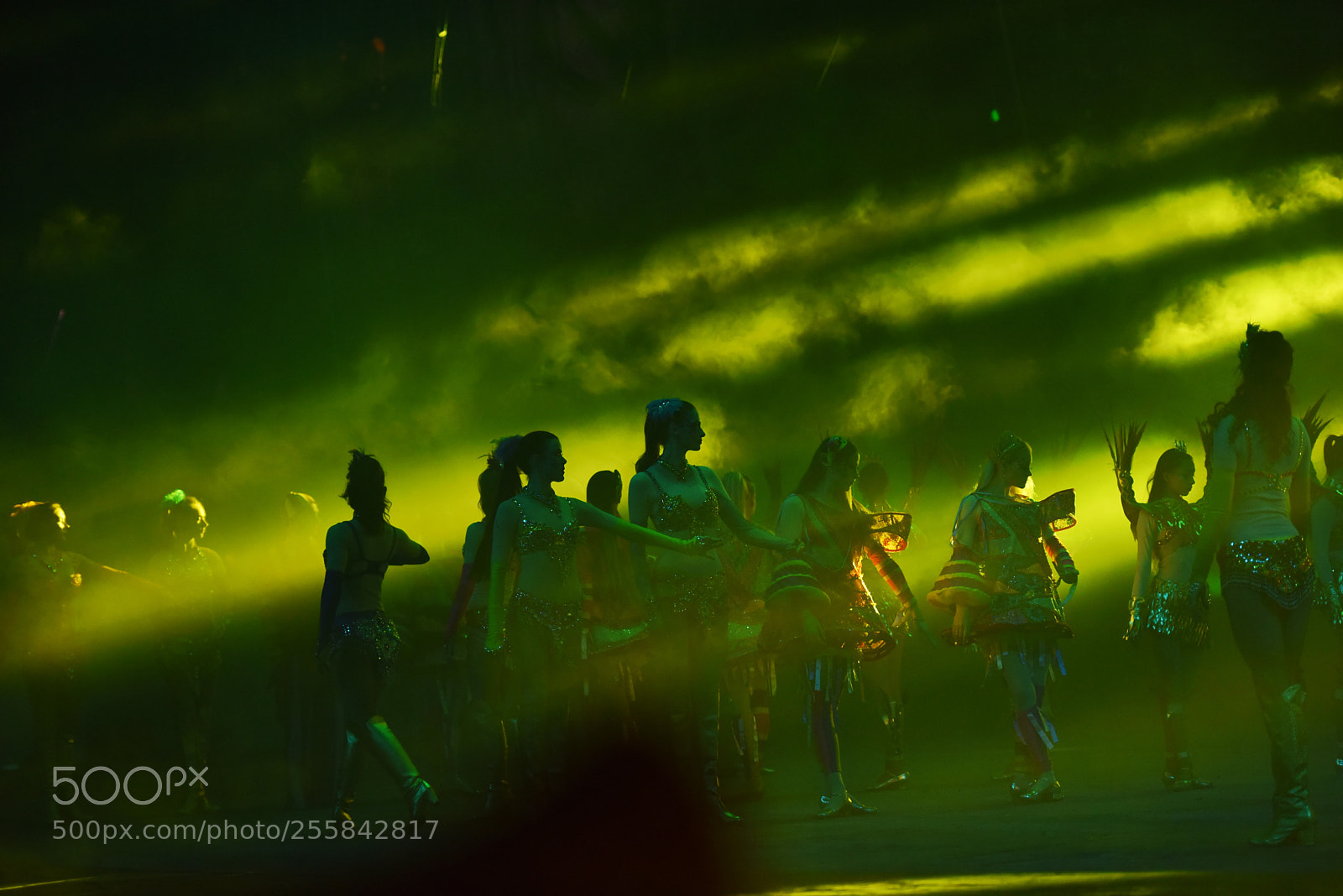 Nikon D810 sample photo. Chimelong circus photography
