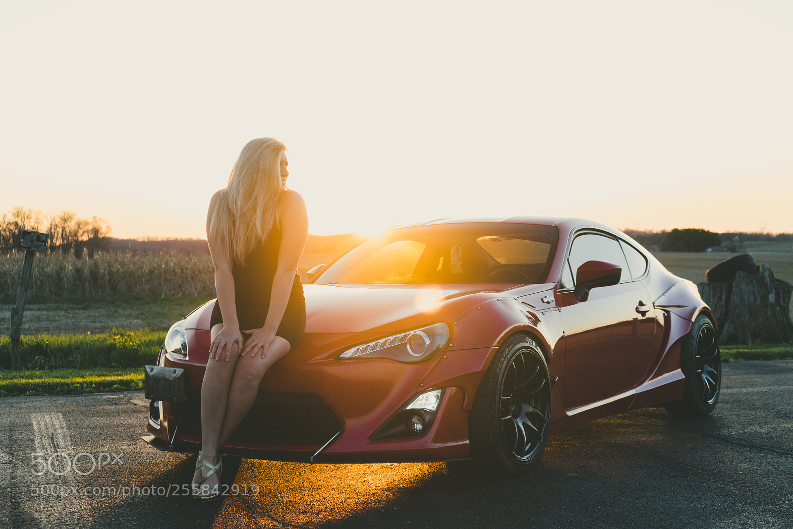 Sony a7R sample photo. Untitled photography