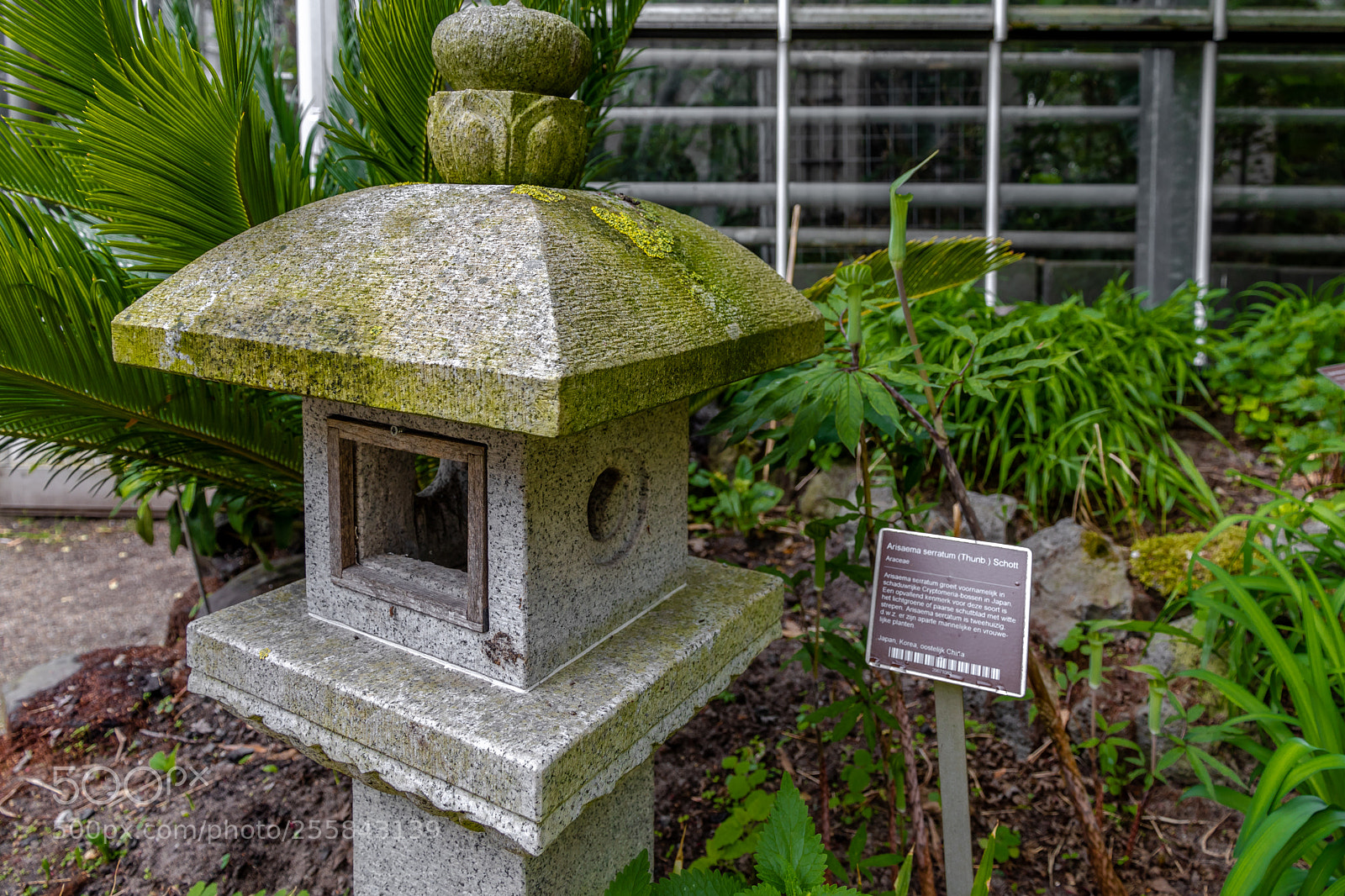 Canon EOS 80D sample photo. Lamp at hortus botanicus photography