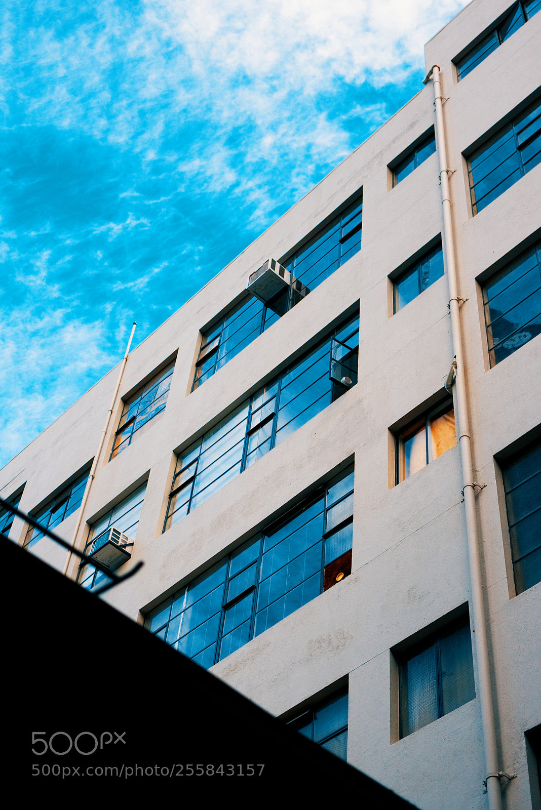 Nikon D3400 sample photo. Look up photography