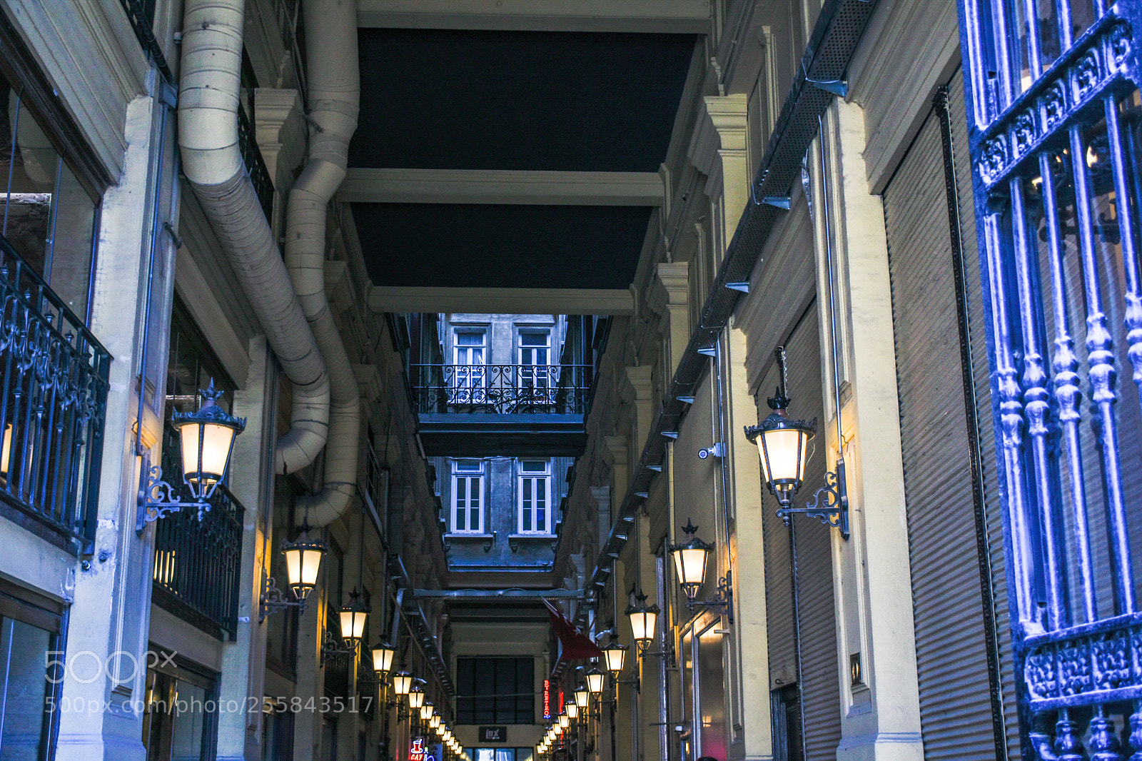 Nikon D7200 sample photo. Untitled photography