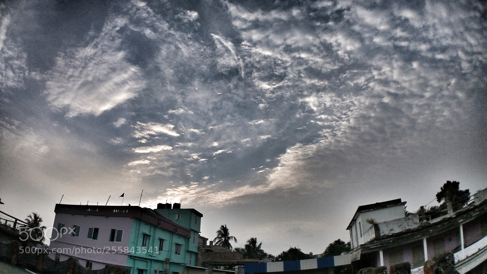 Xiaomi Redmi Note3 sample photo. Early in the morning. photography