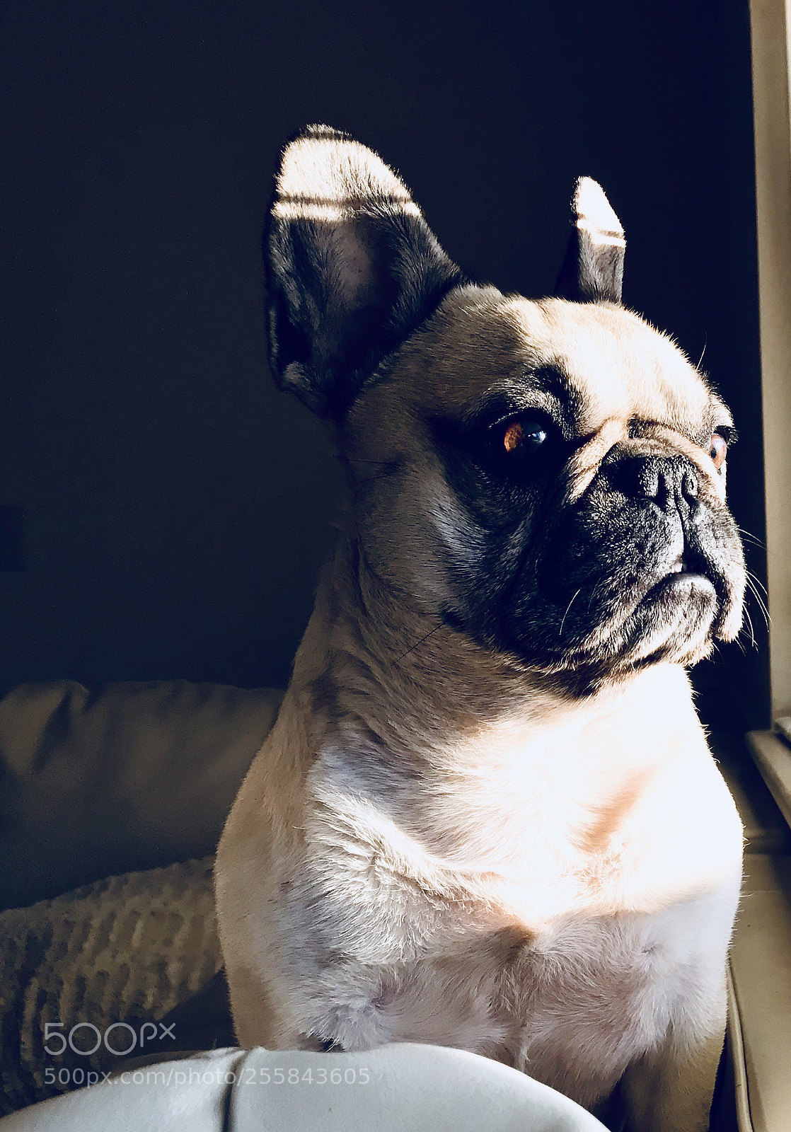 Apple iPhone 7 Plus sample photo. Waiting on a friend  photography