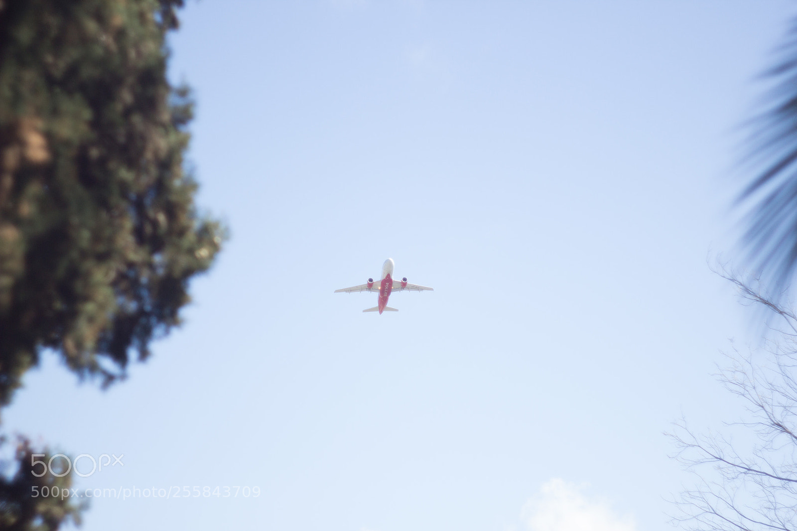 Canon EOS 60D sample photo. Going home photography