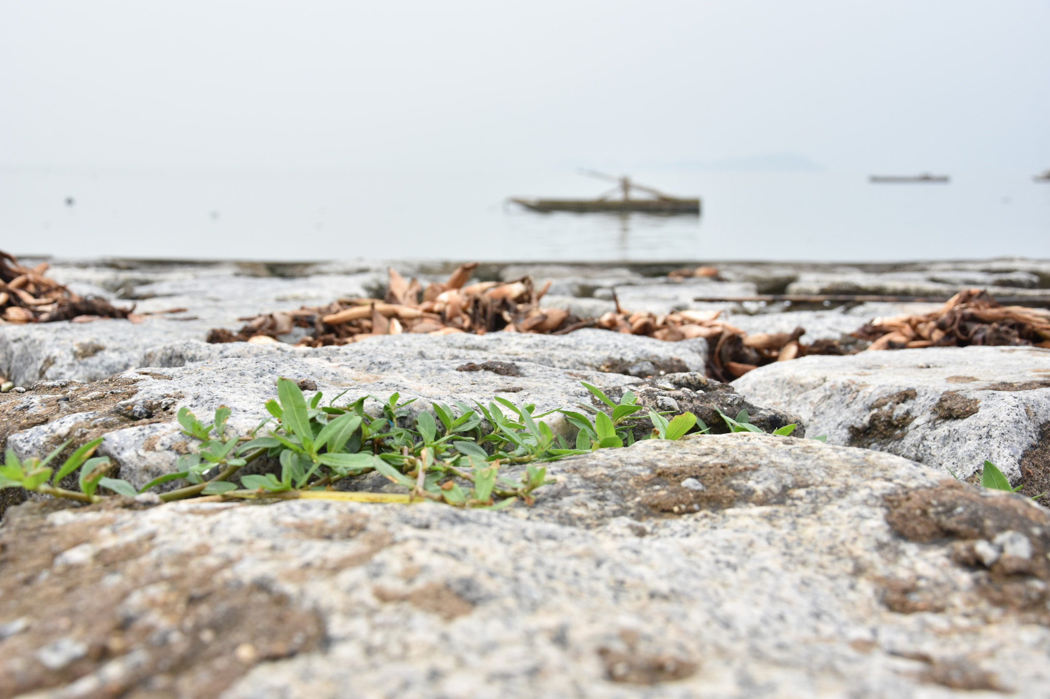 Nikon D3400 sample photo. Shore photography