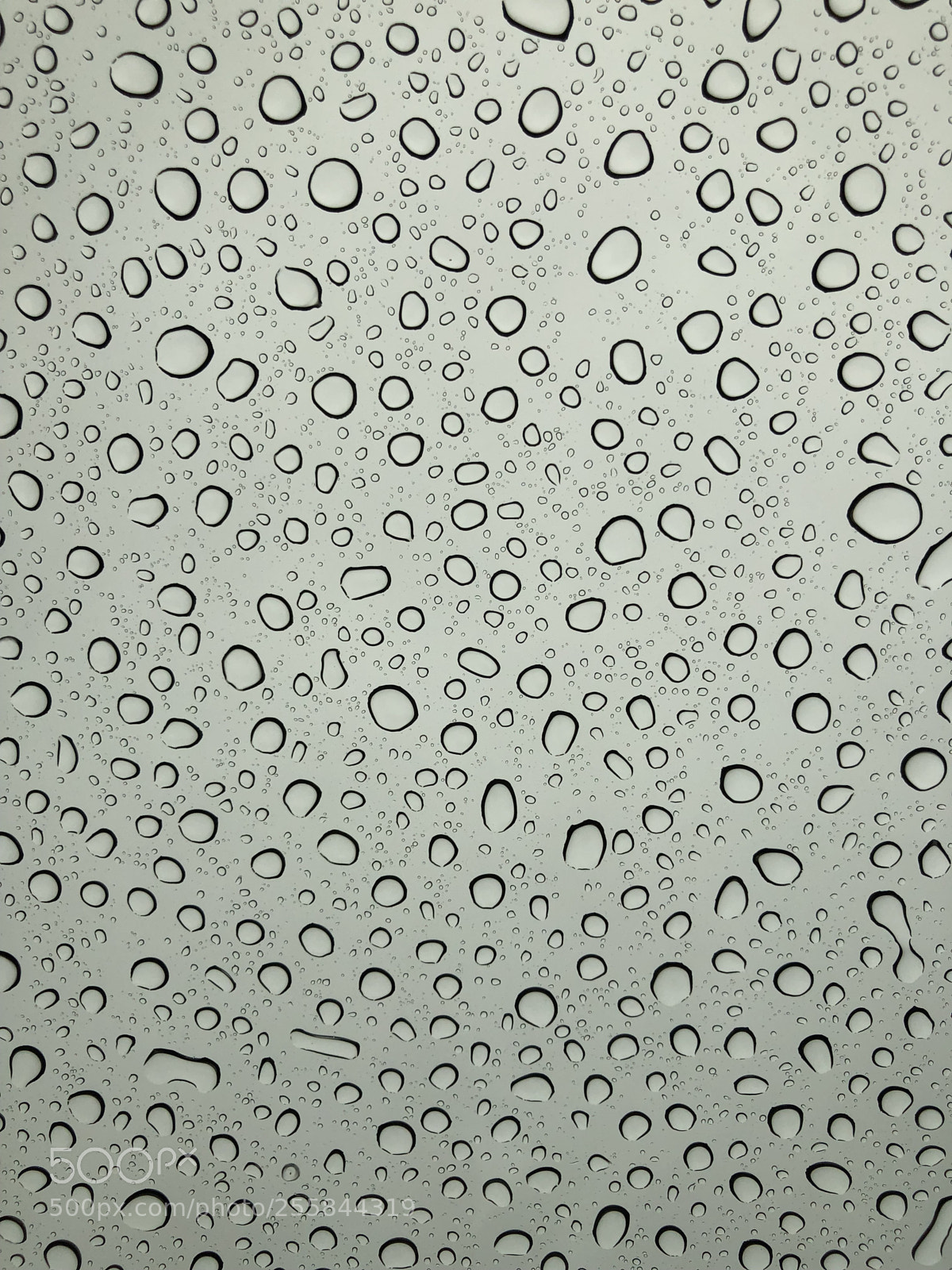 Apple iPhone 8 Plus sample photo. Drops of jupiter  photography