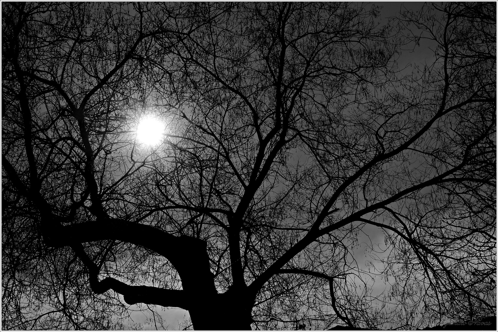 Pentax K-3 II sample photo. Luz en las sombras photography