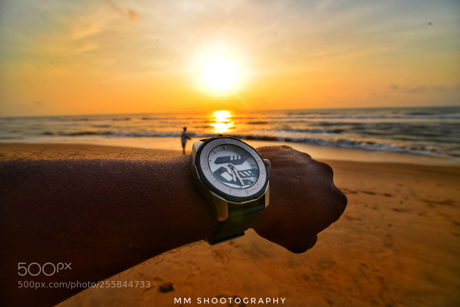 Nikon D610 sample photo. That's called golden hour photography