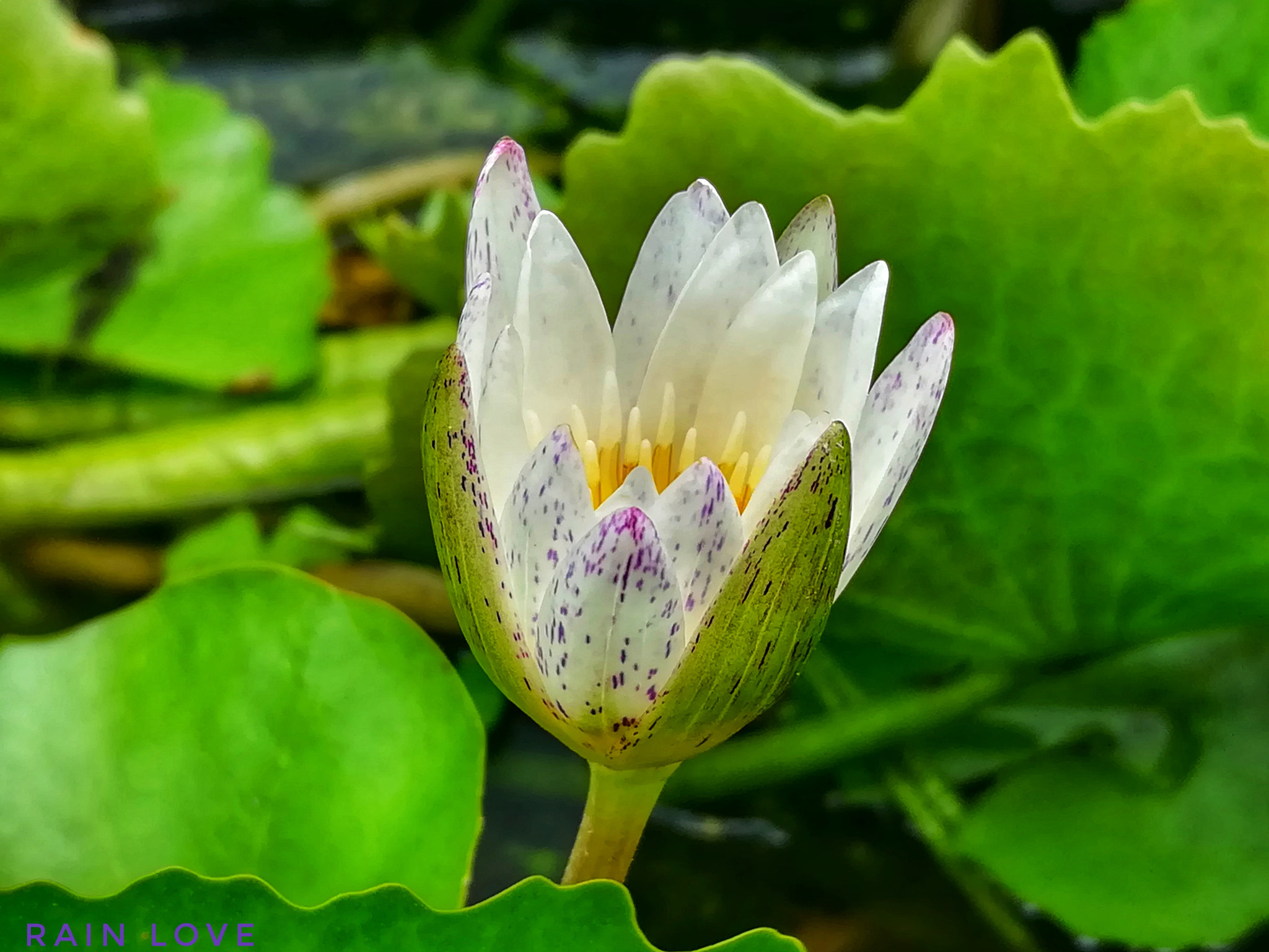 HUAWEI GR5 2017 sample photo