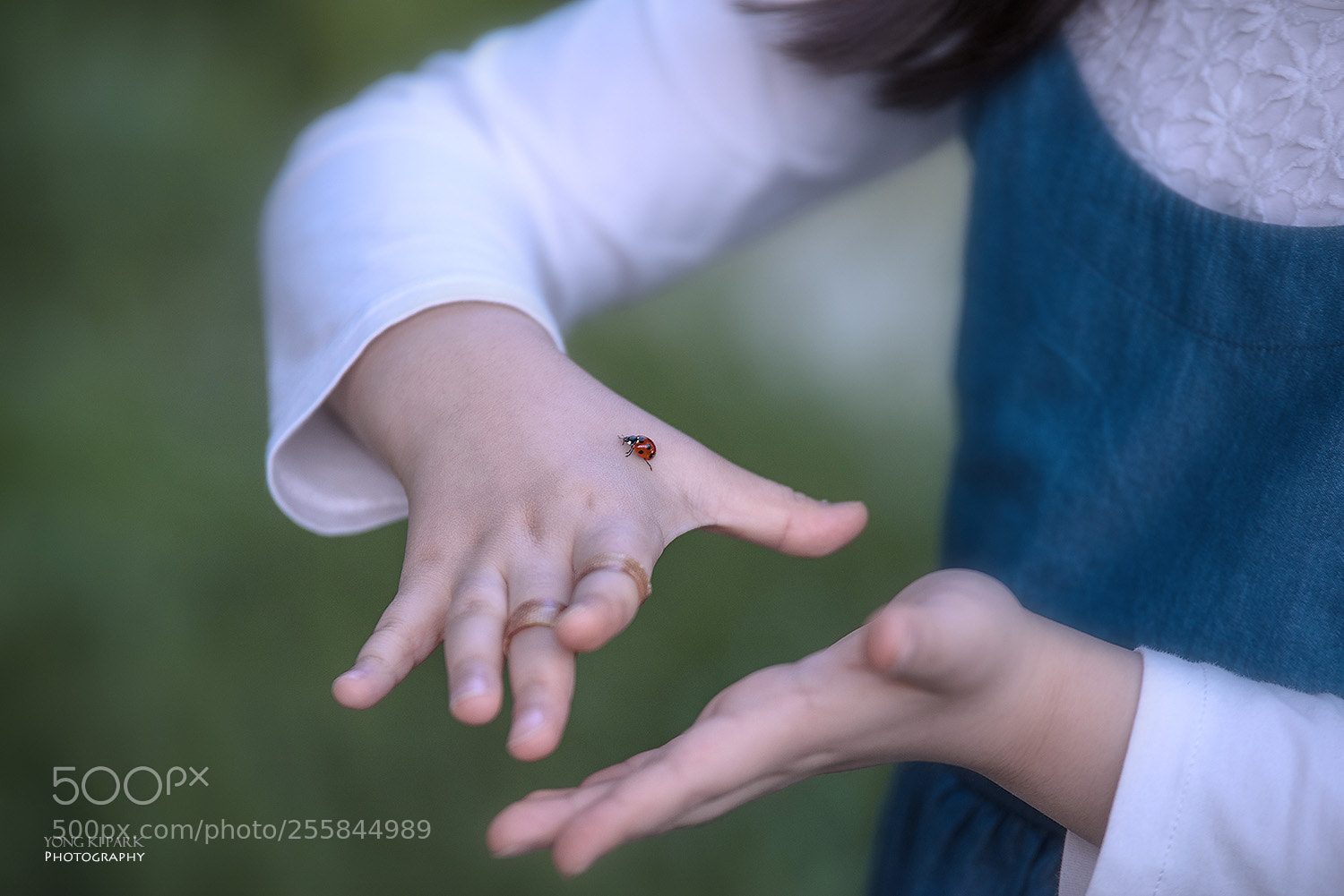 Pentax K-1 sample photo. Peace- we are friends-2 photography