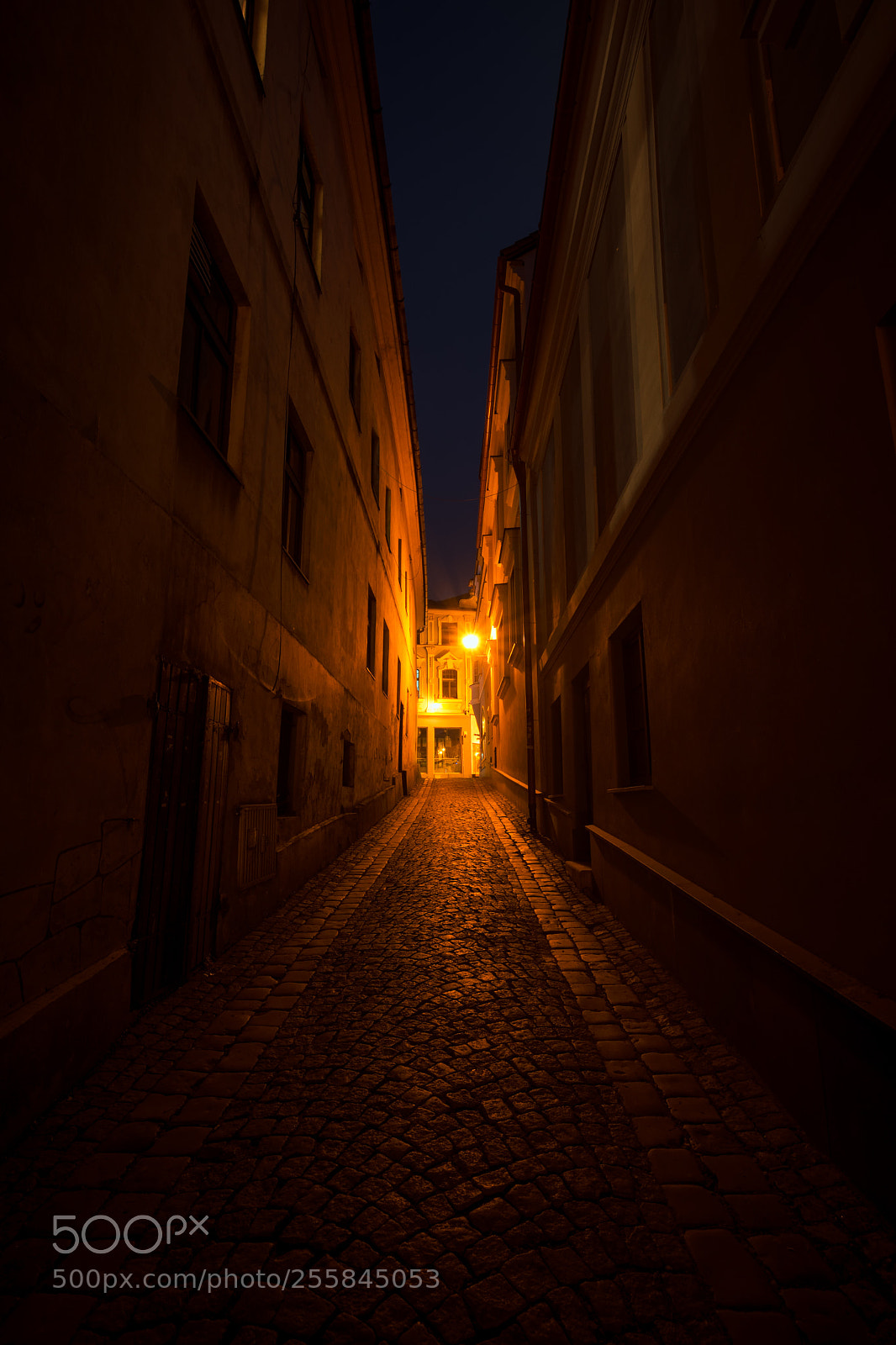 Nikon D7200 sample photo. Lost photography