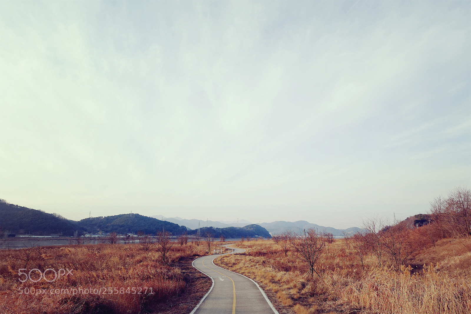 Sony Cyber-shot DSC-RX100 IV sample photo. Nakdong river bike trail photography