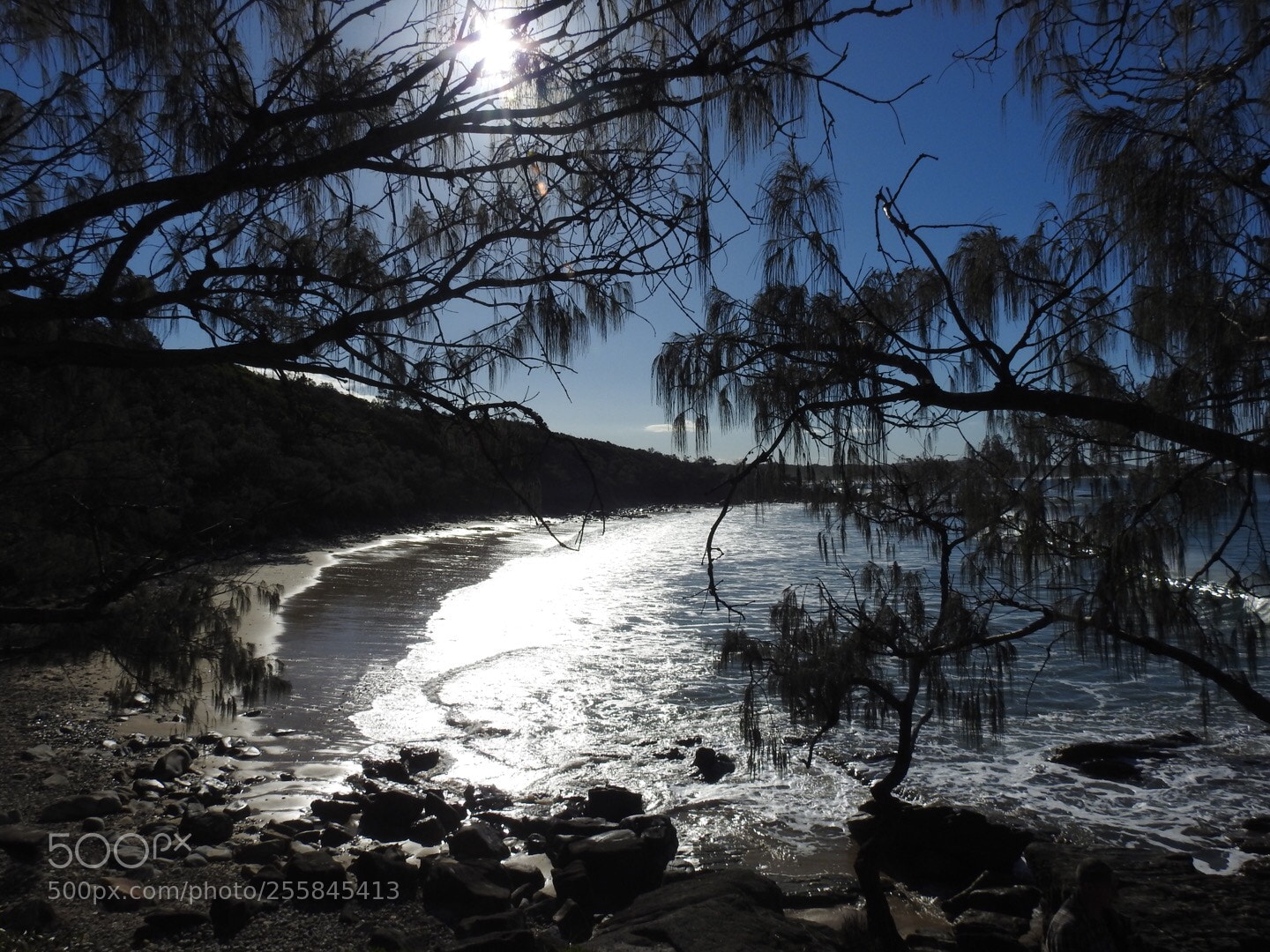 Nikon Coolpix P900 sample photo. North haven, nsw, australia photography