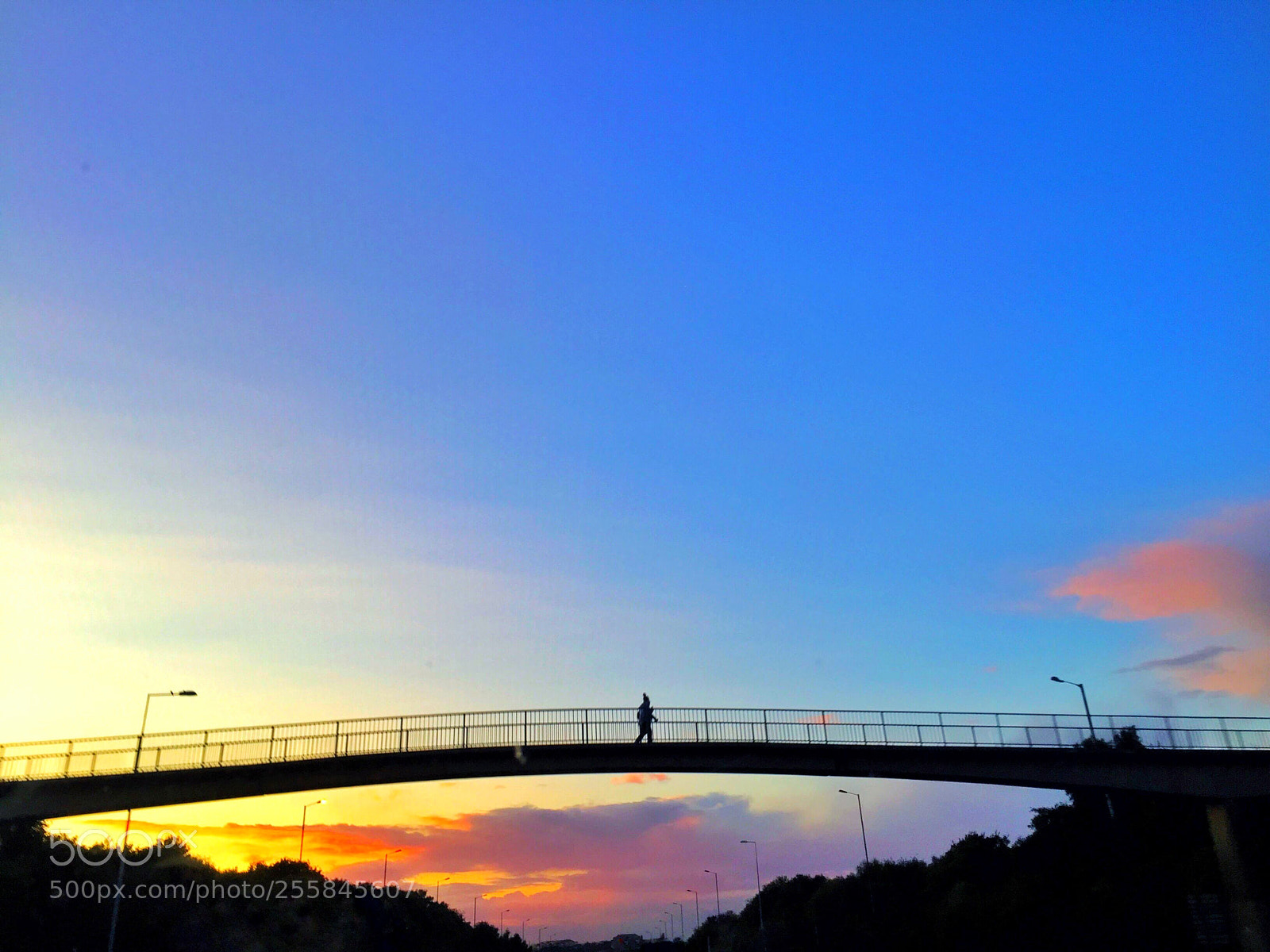 Apple iPhone 6 sample photo. Rainbow bridge photography