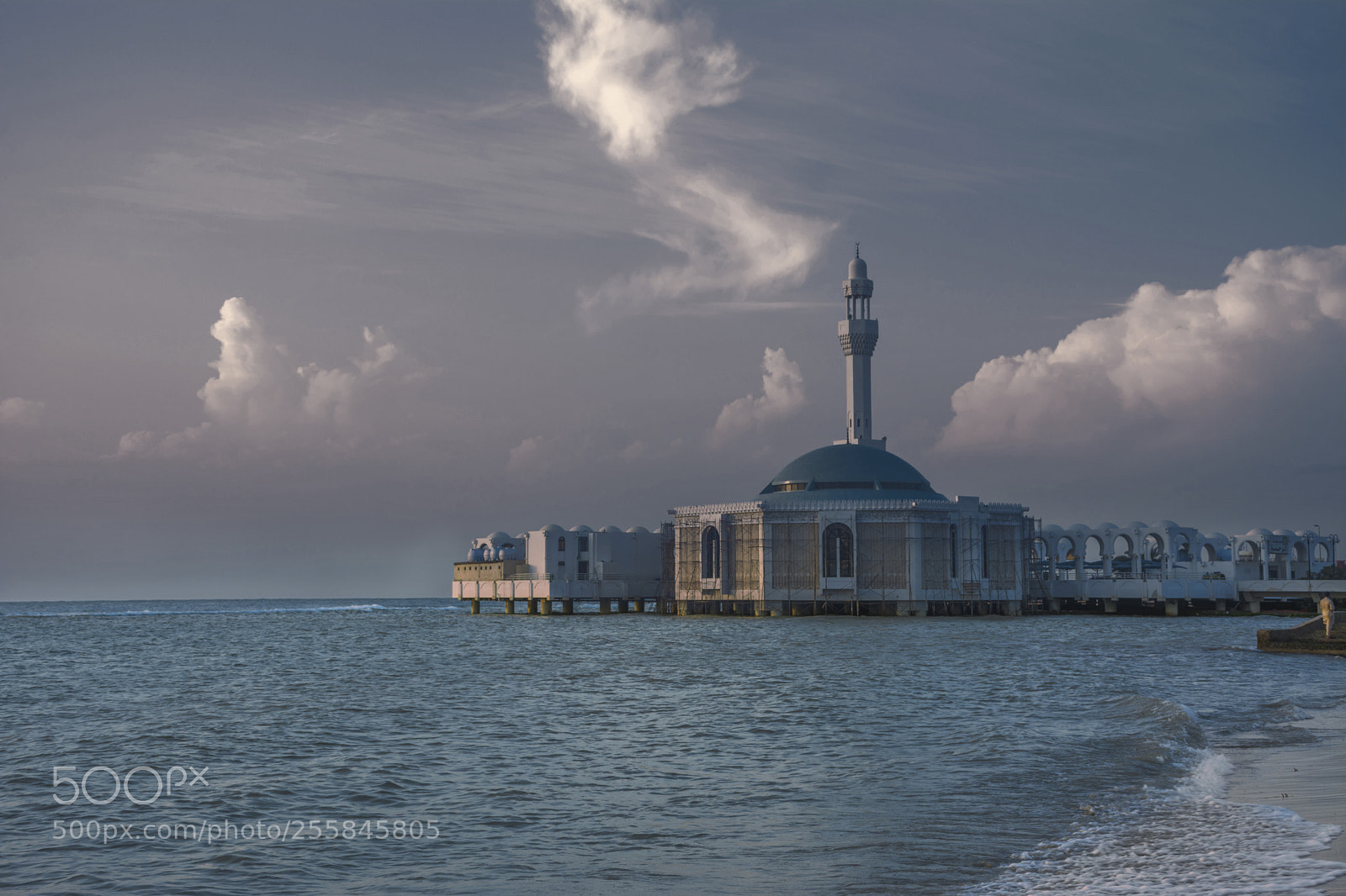Nikon D7100 sample photo. Floating mosque photography