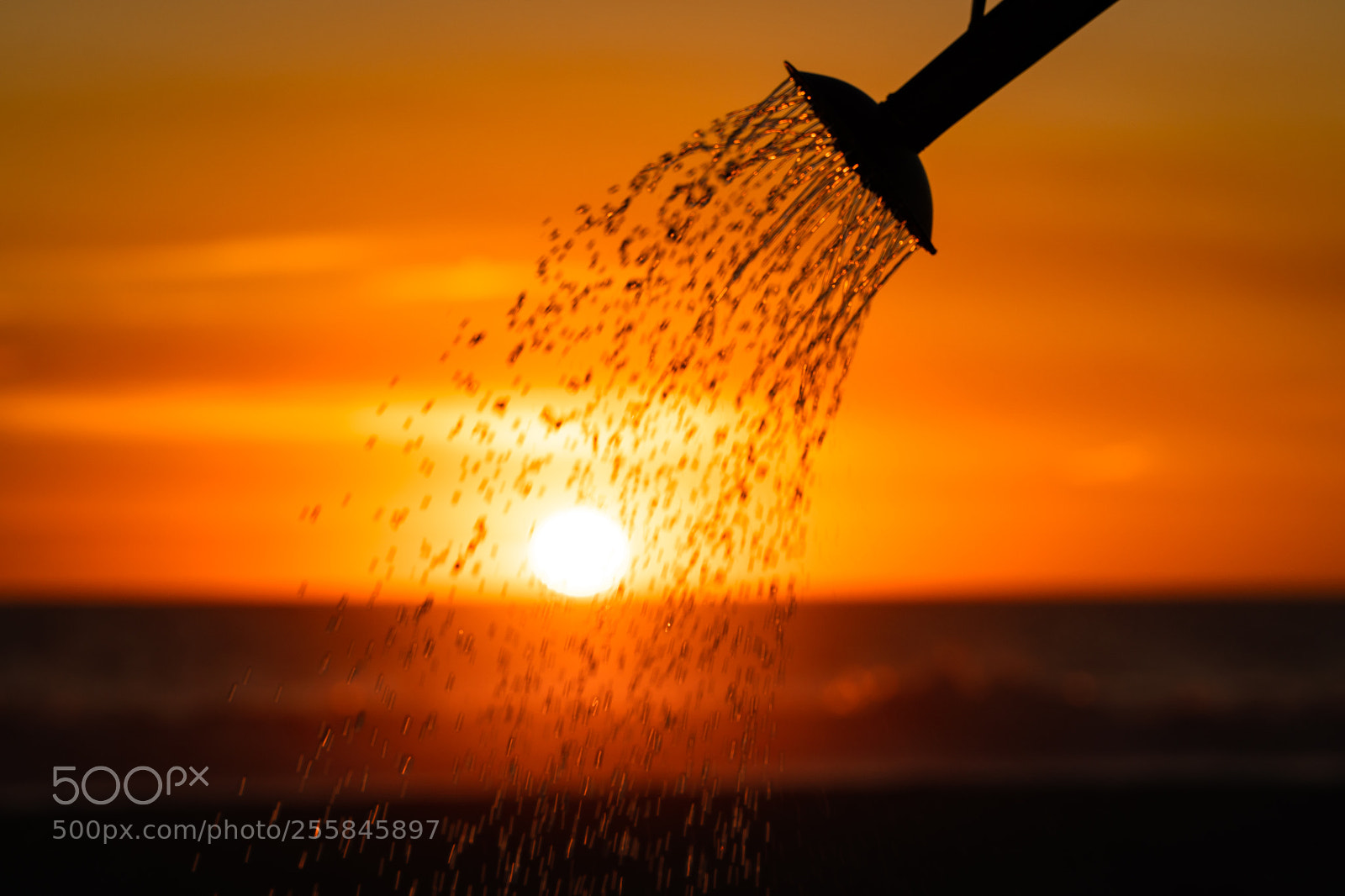 Sony a6300 sample photo. Watering sunset photography