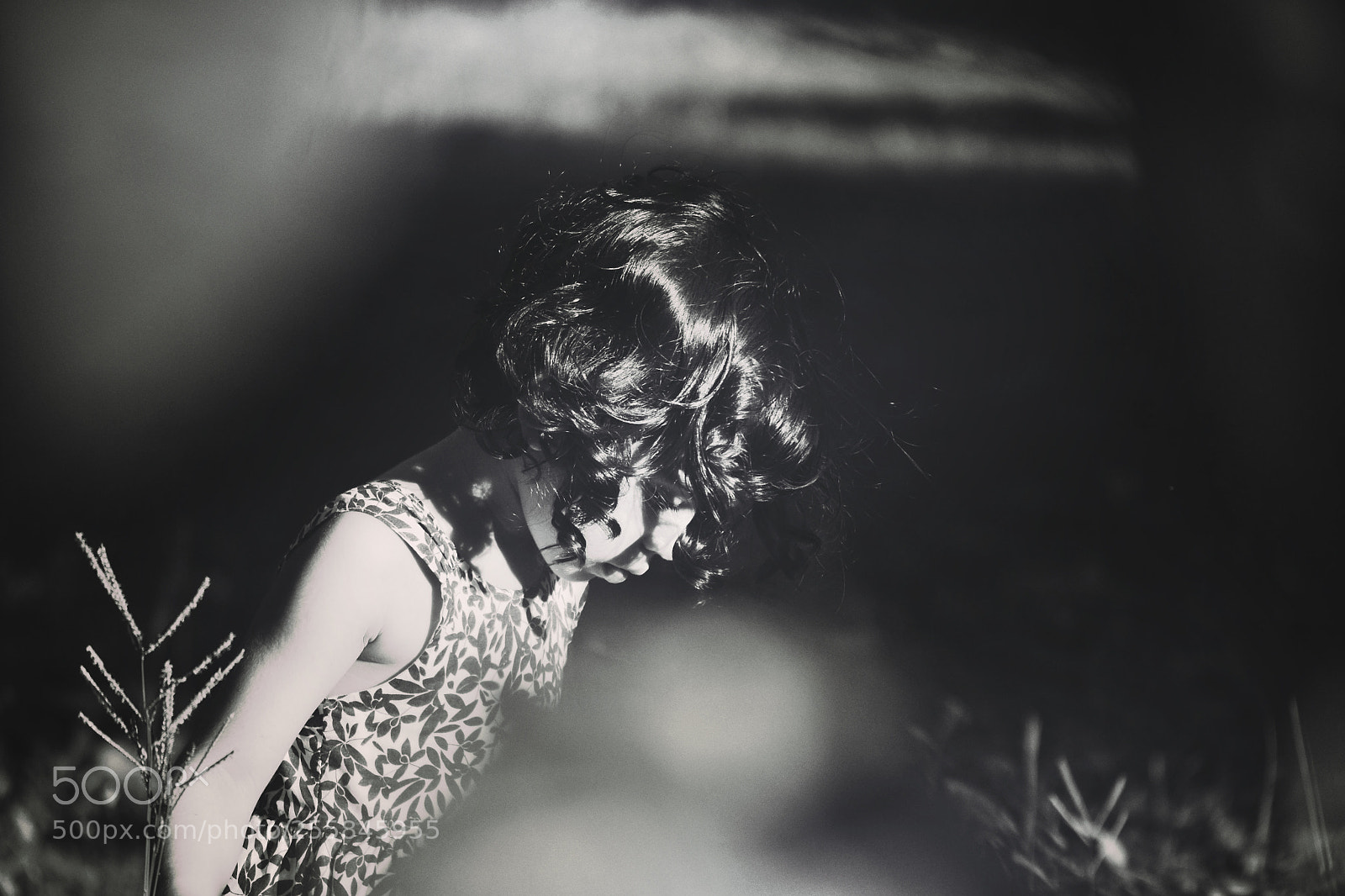 Nikon D3100 sample photo. Lovely ligth photography